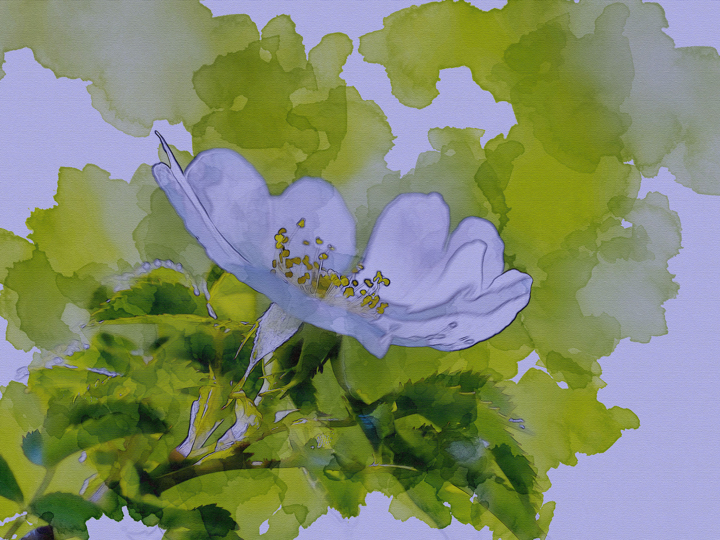 Paintingraphy