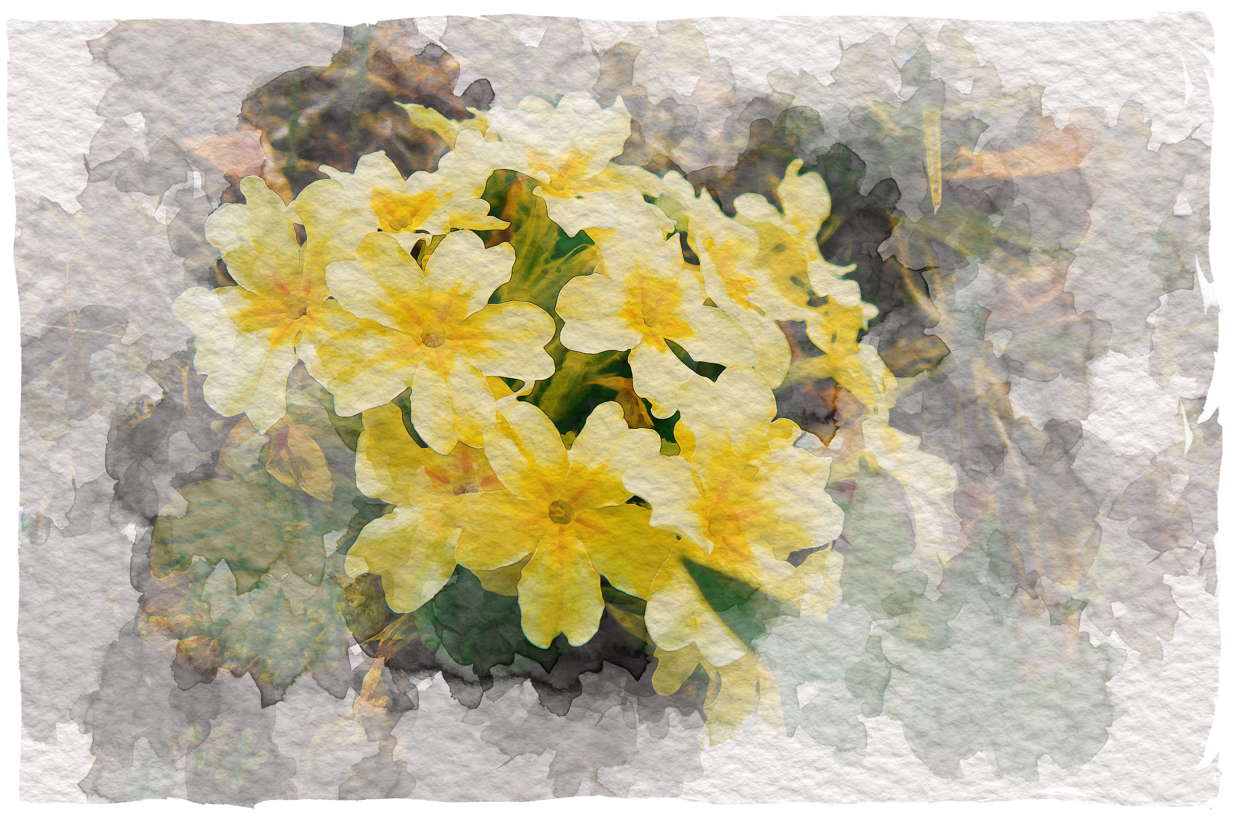 Paintingraphy