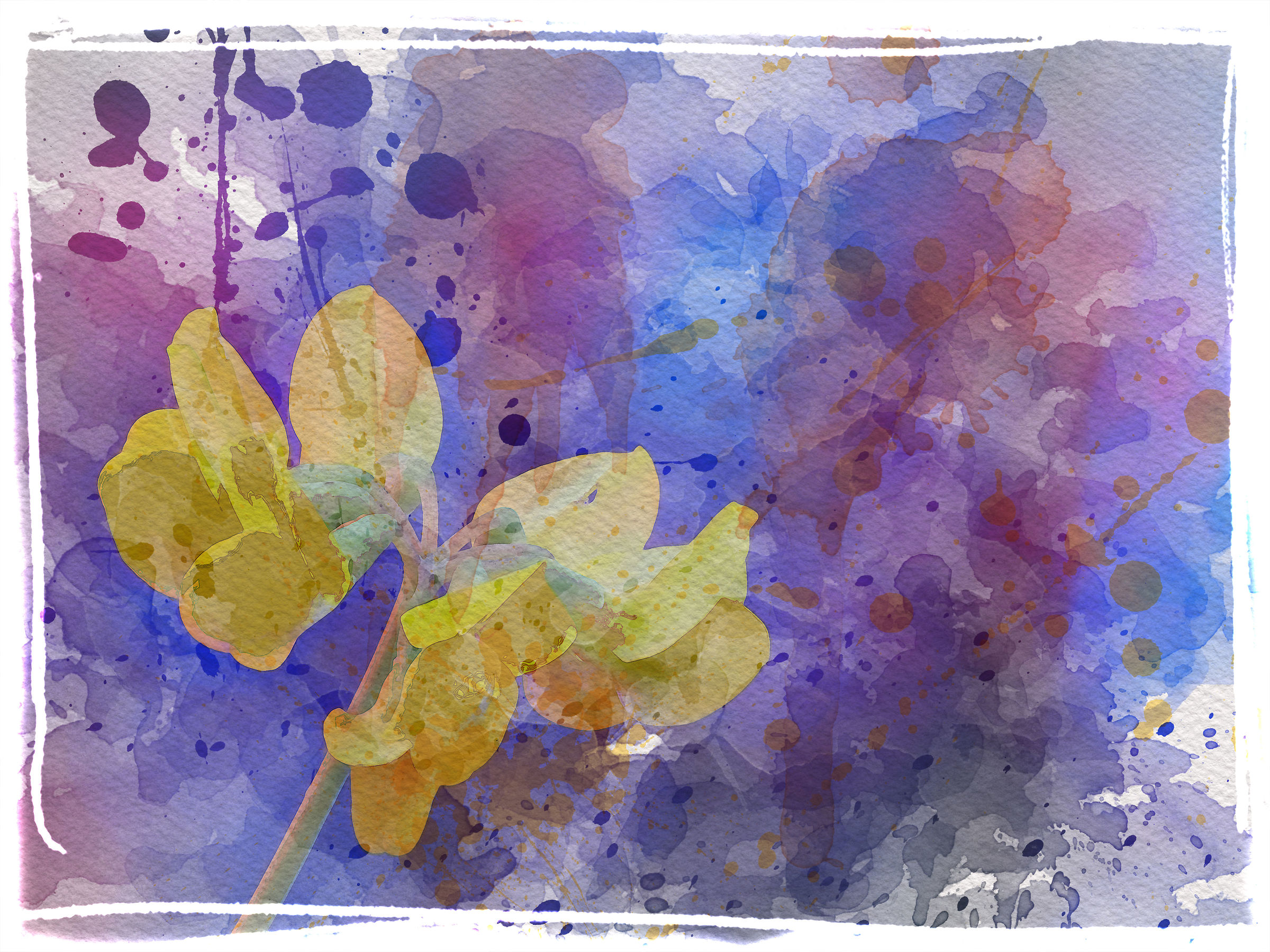 Paintingraphy
