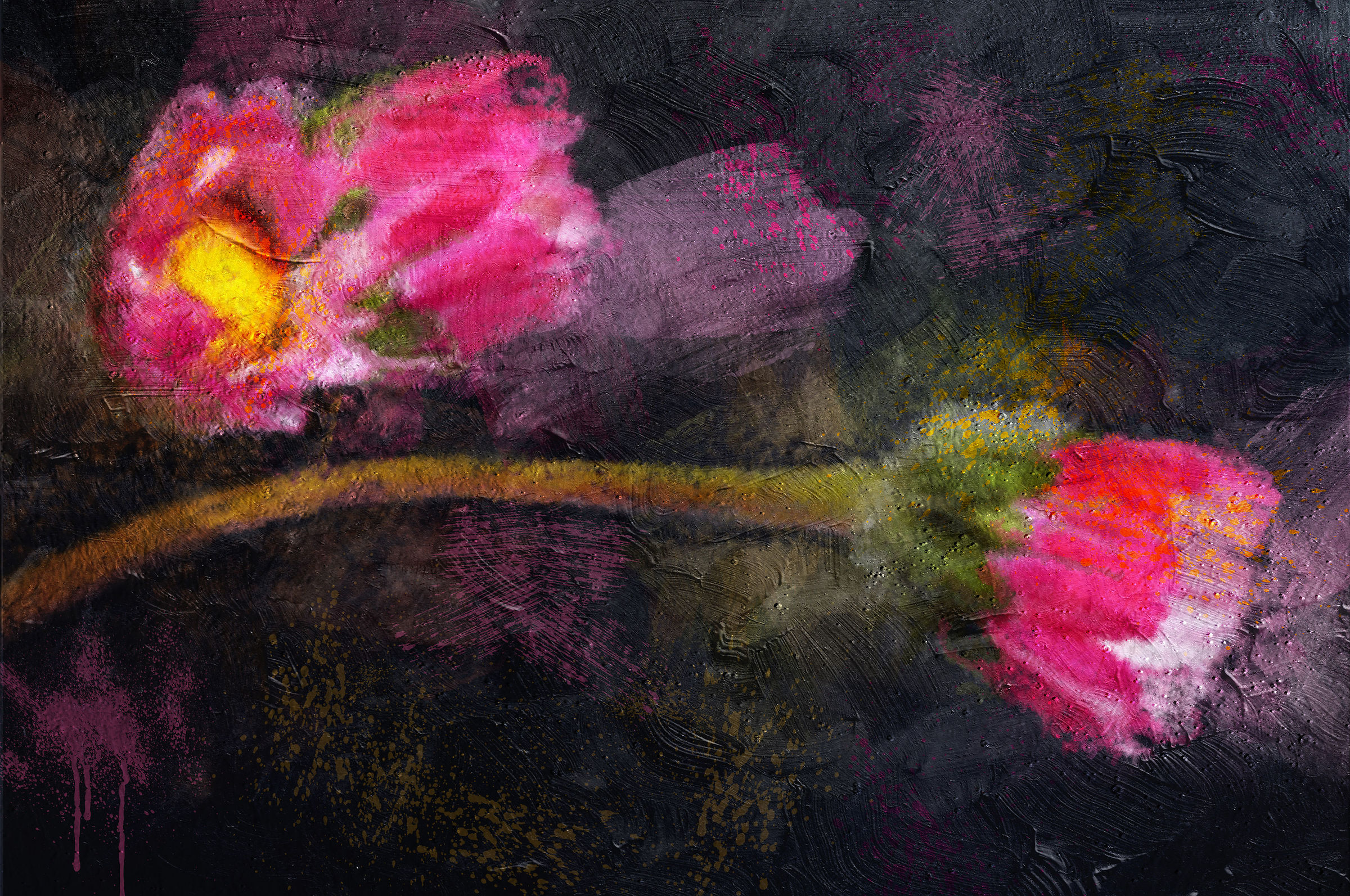 Paintingraphy