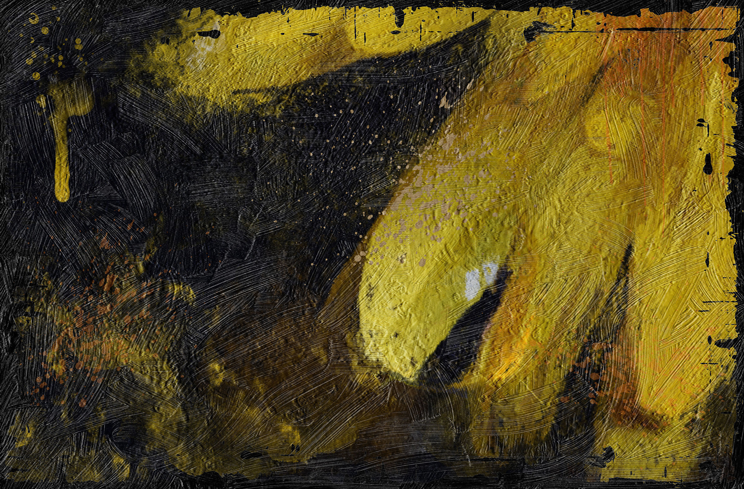 Paintingraphy