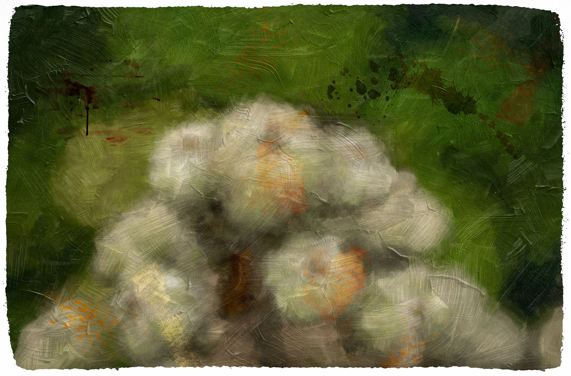 Paintingraphy