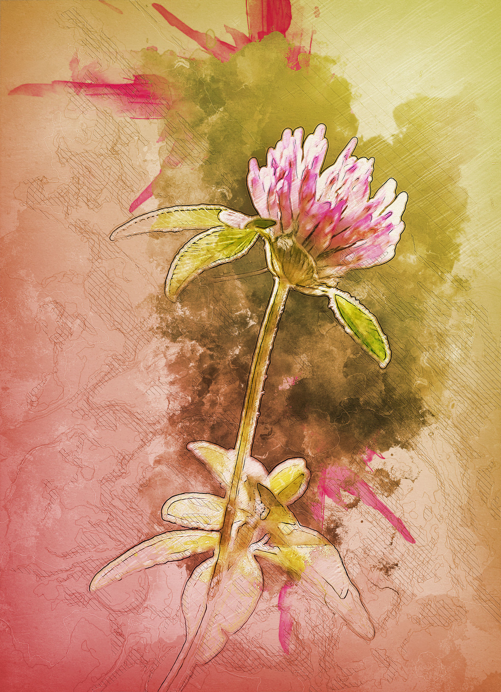 Paintingraphy