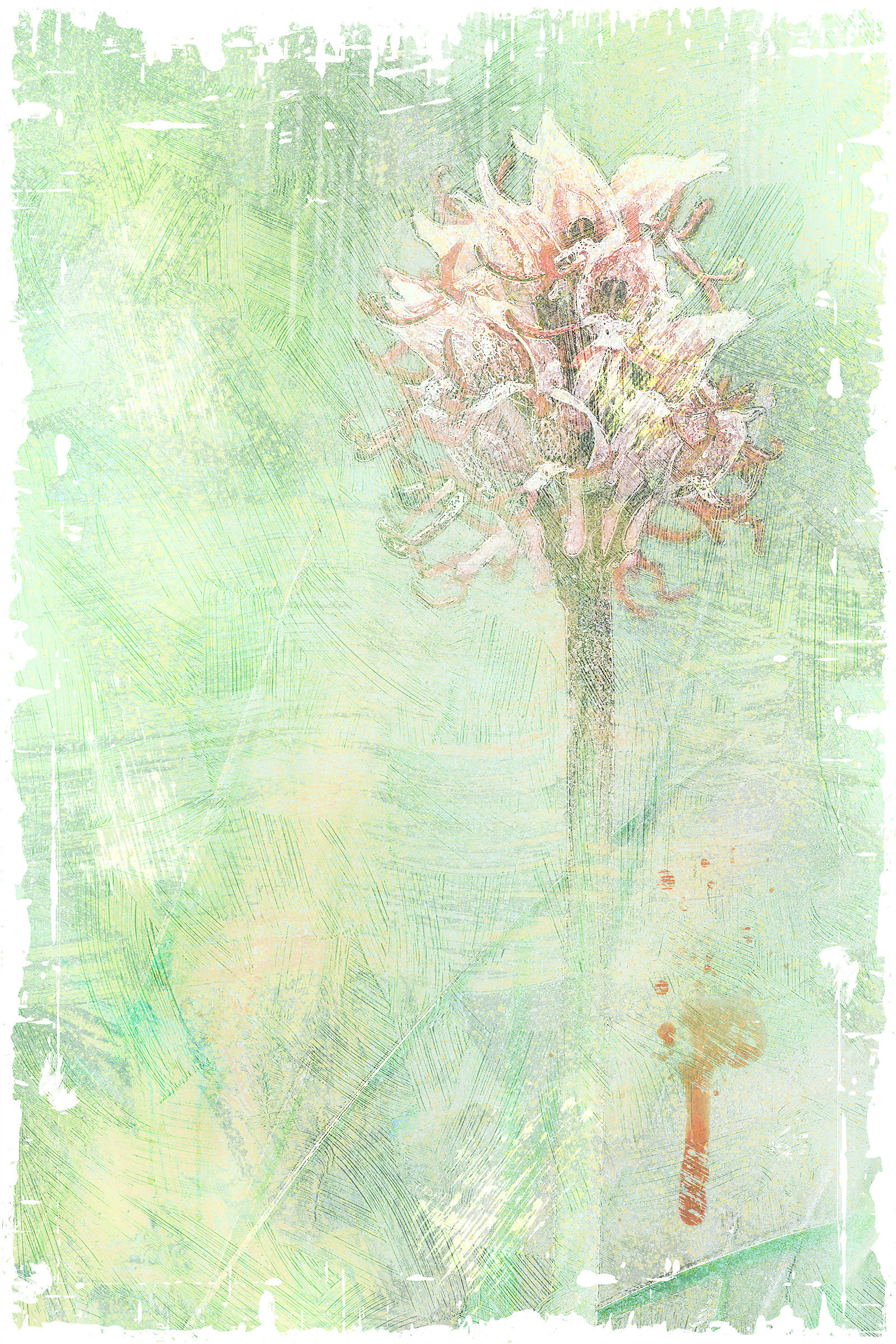Paintingraphy