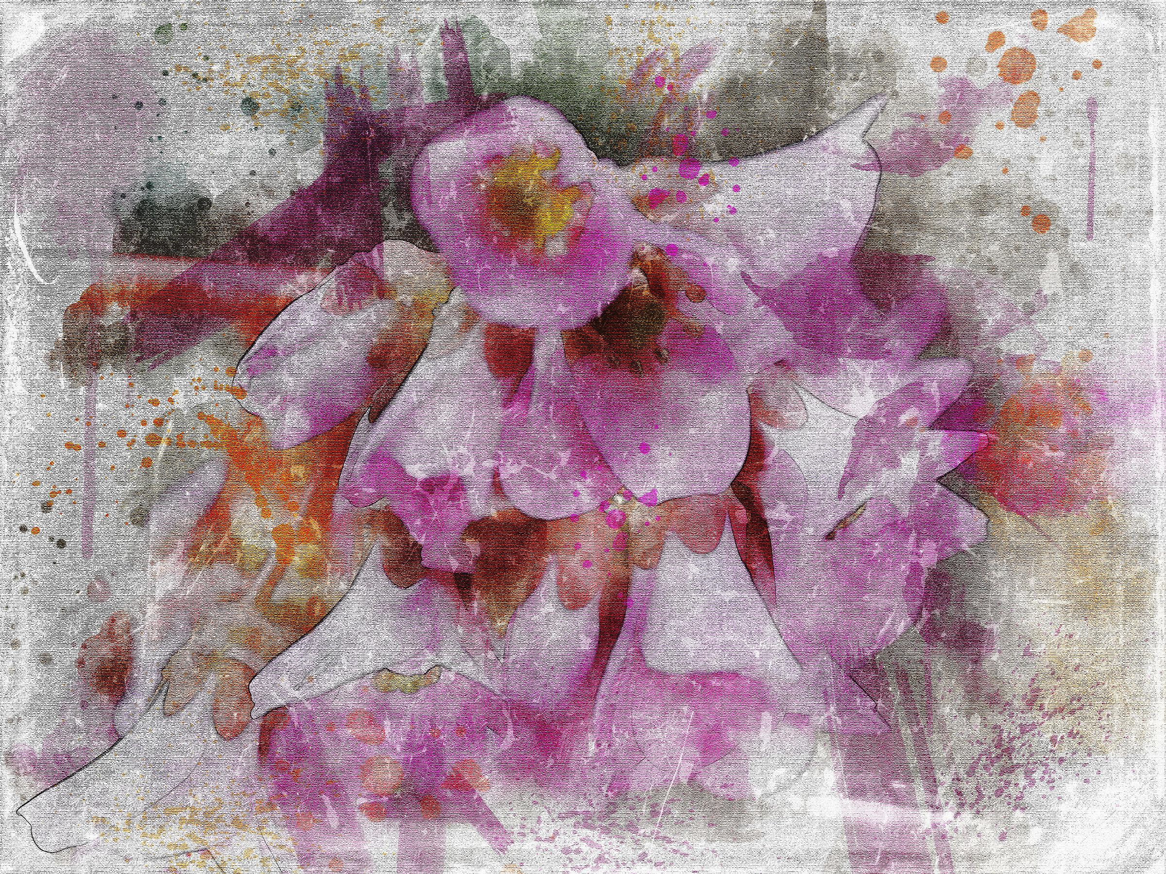 Paintingraphy