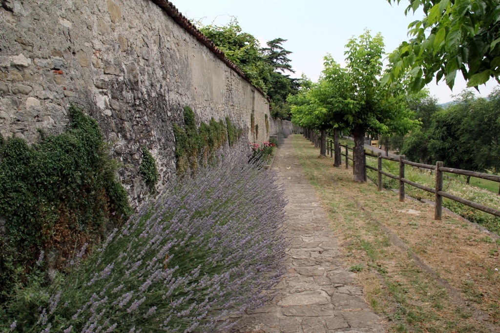 La via della Lavanda