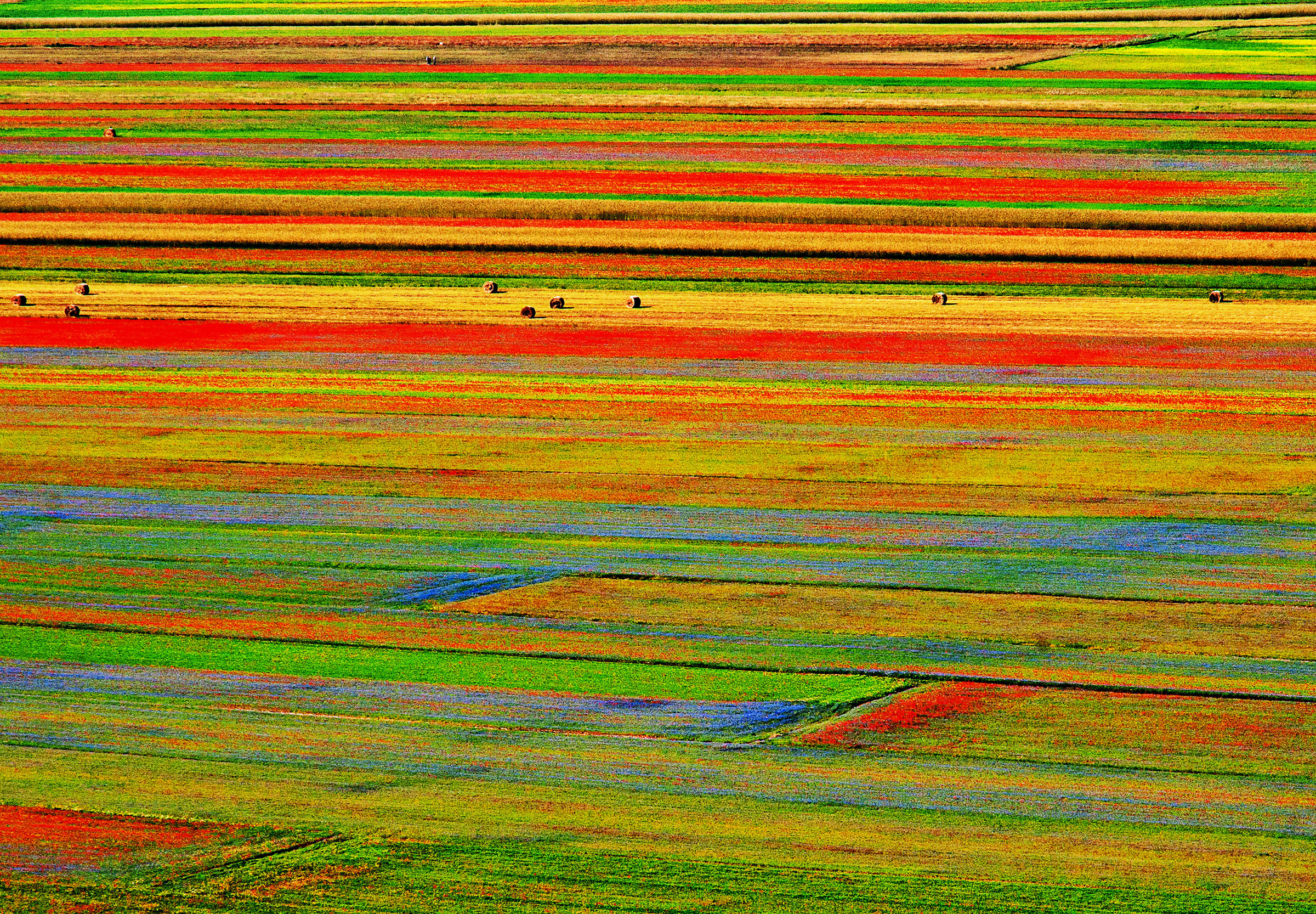 A sea of colors.