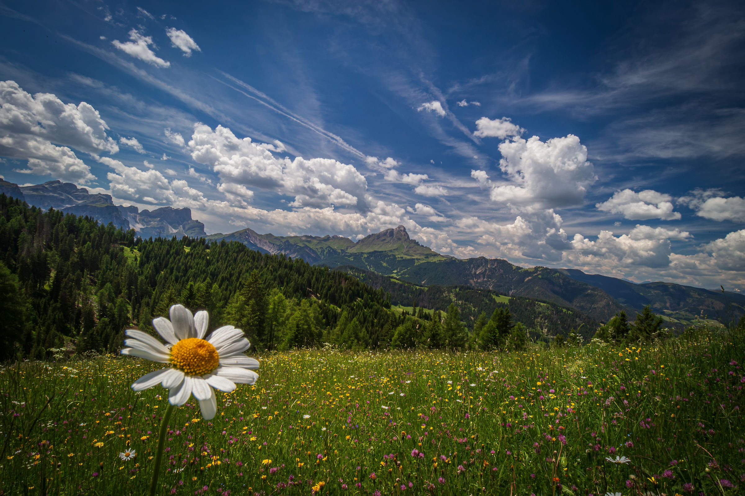 The colours of South Tyrol