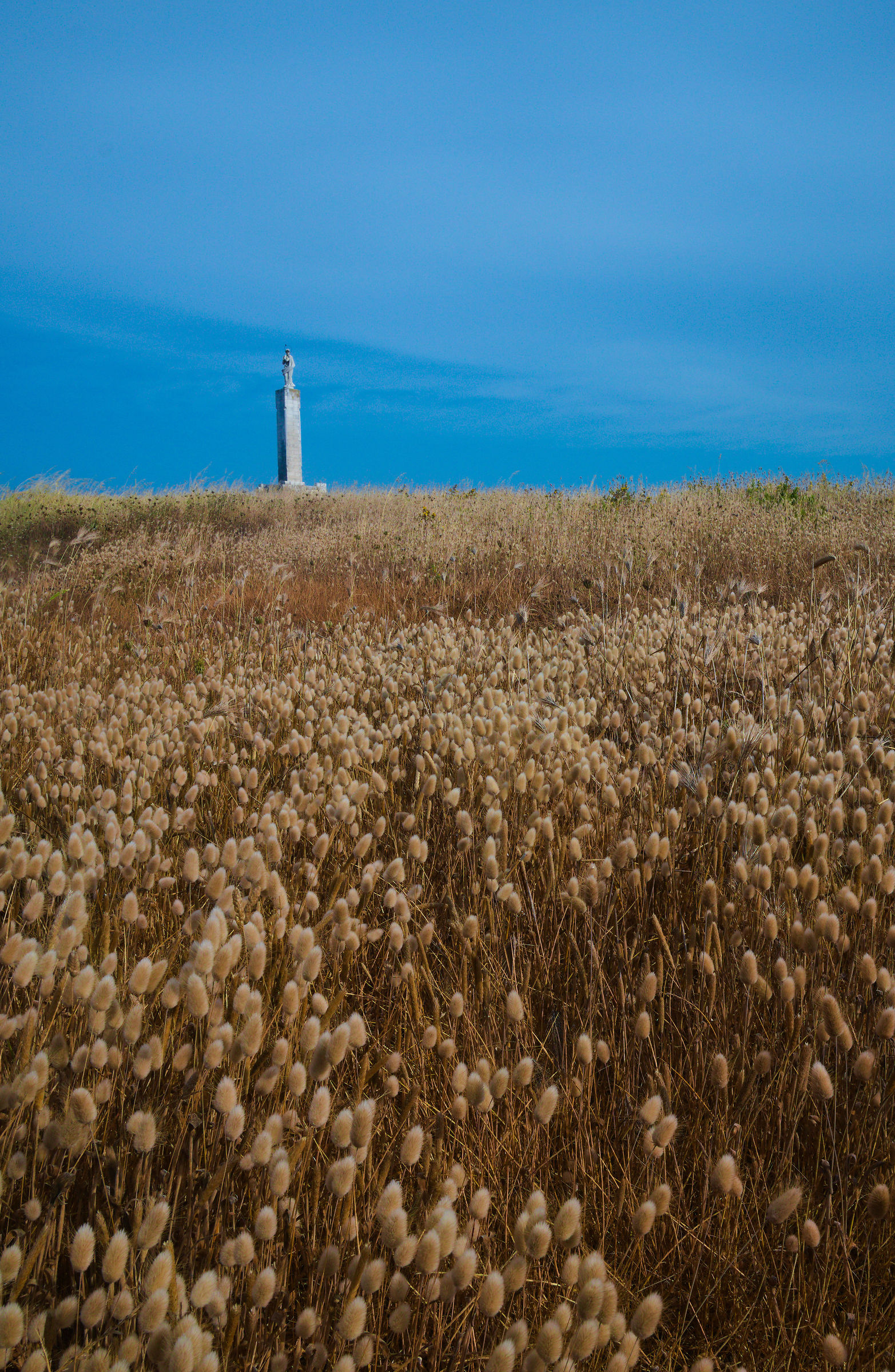 Untitled Photo