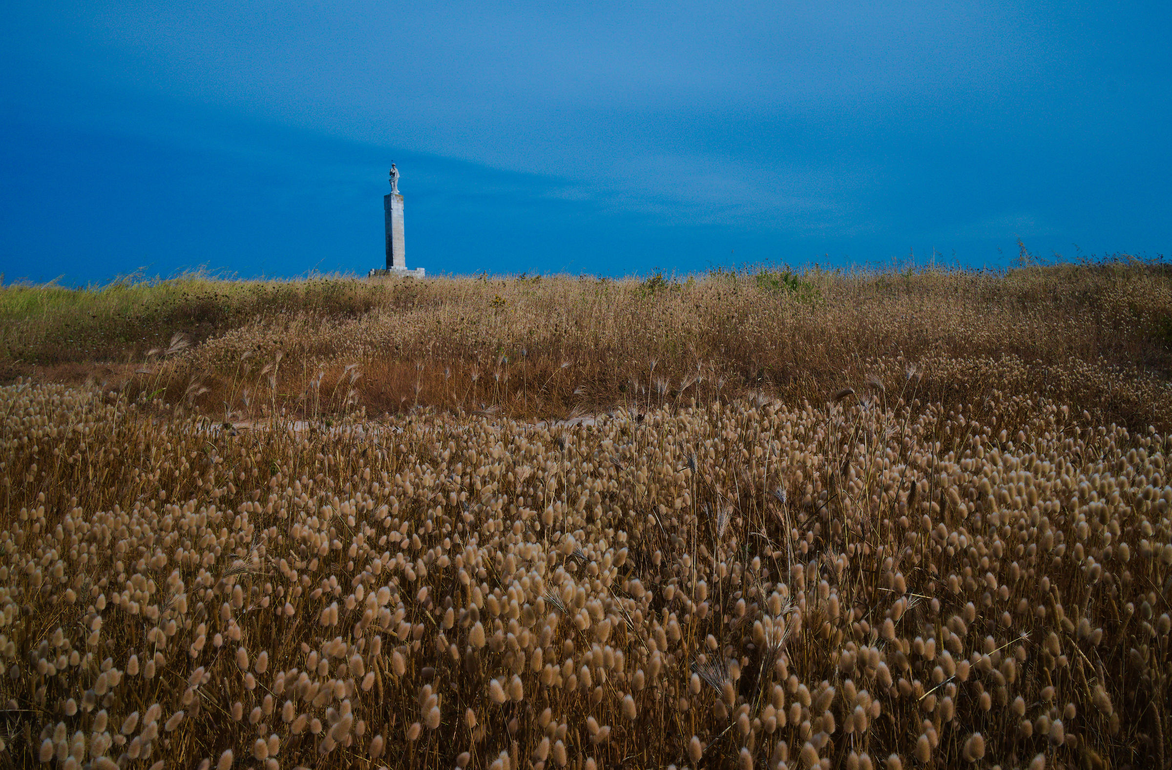 Untitled Photo