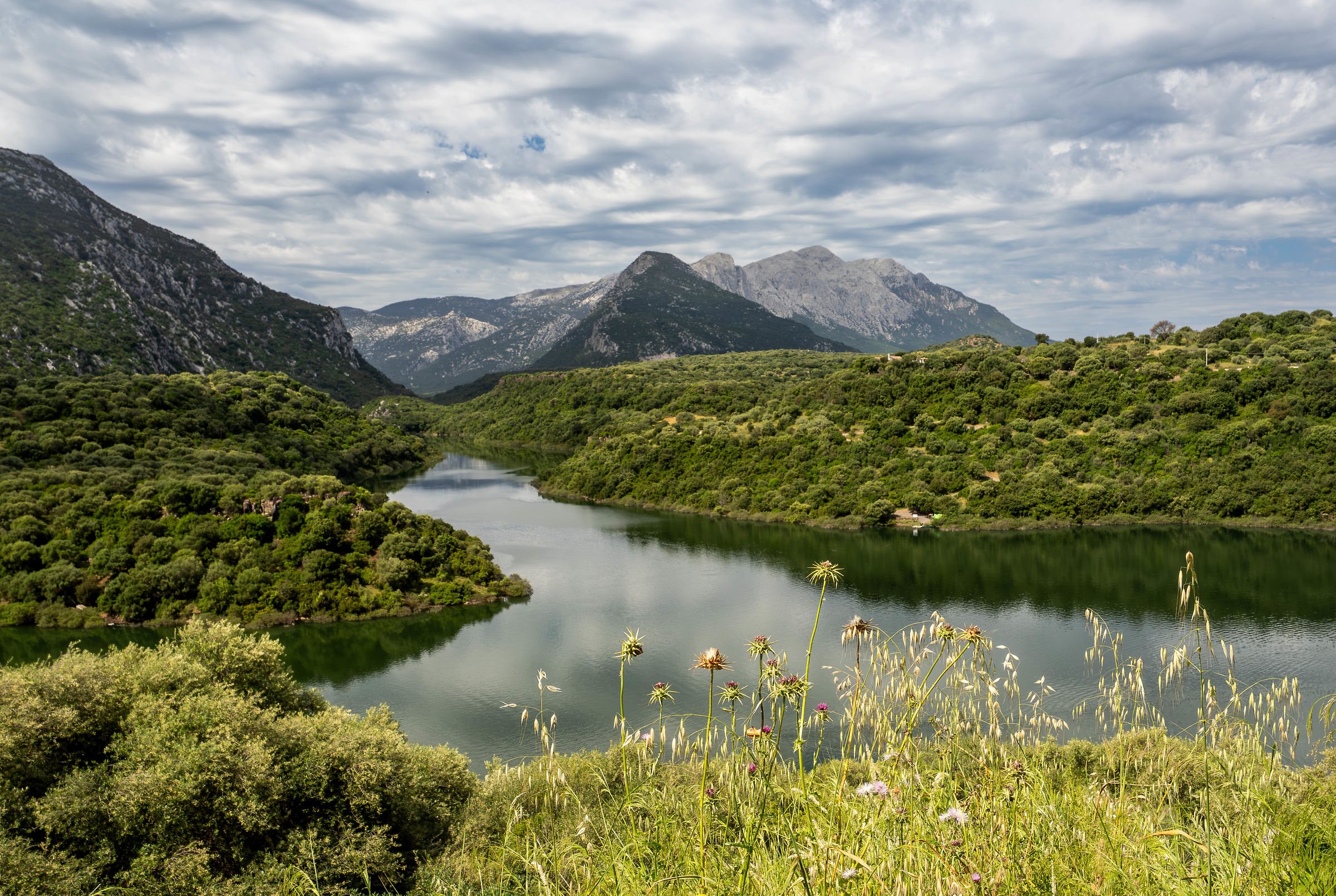 Lago del Cedrino - Sardegna