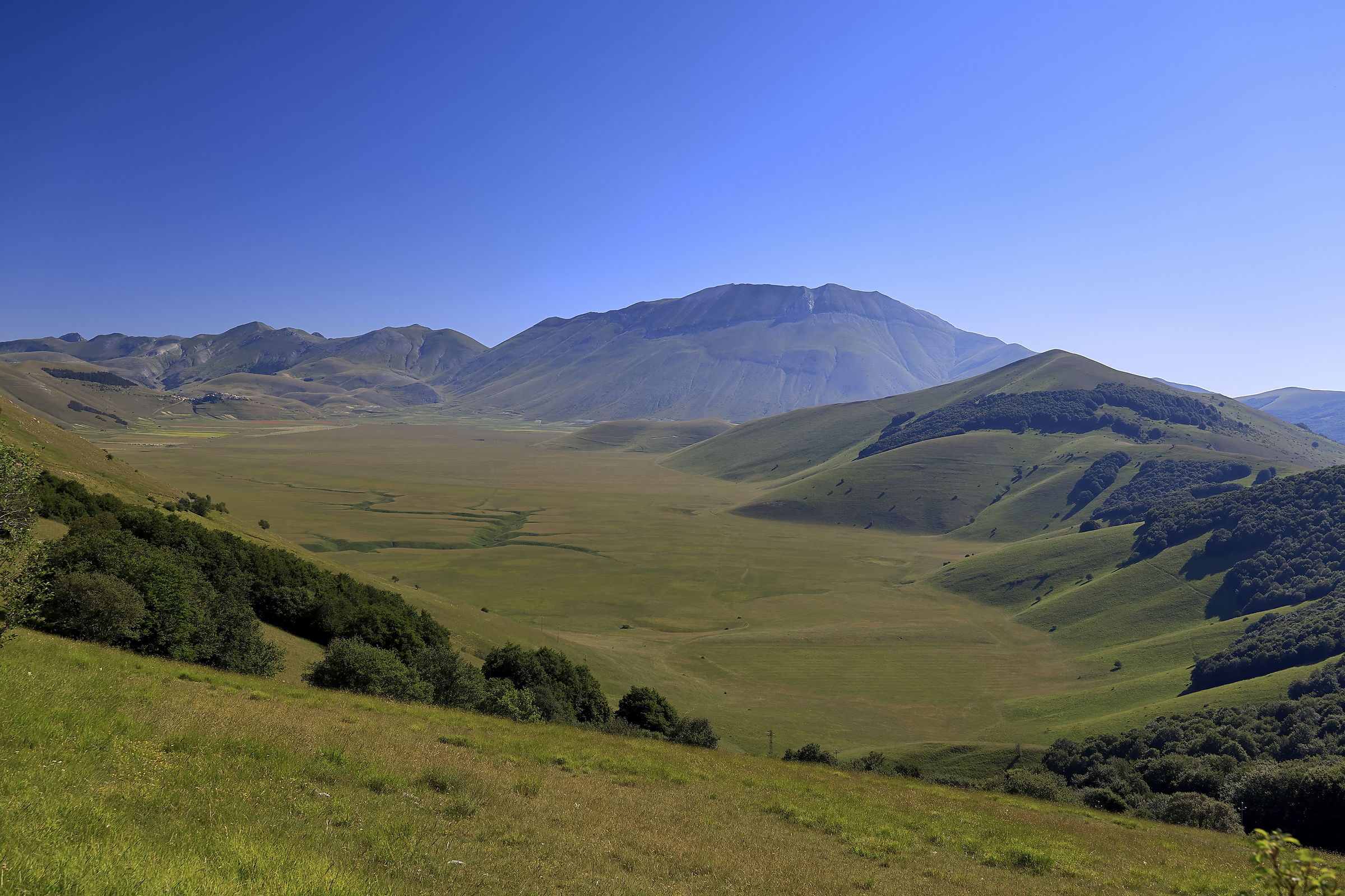 Castelluccio di Norcia - 26 giugno '26