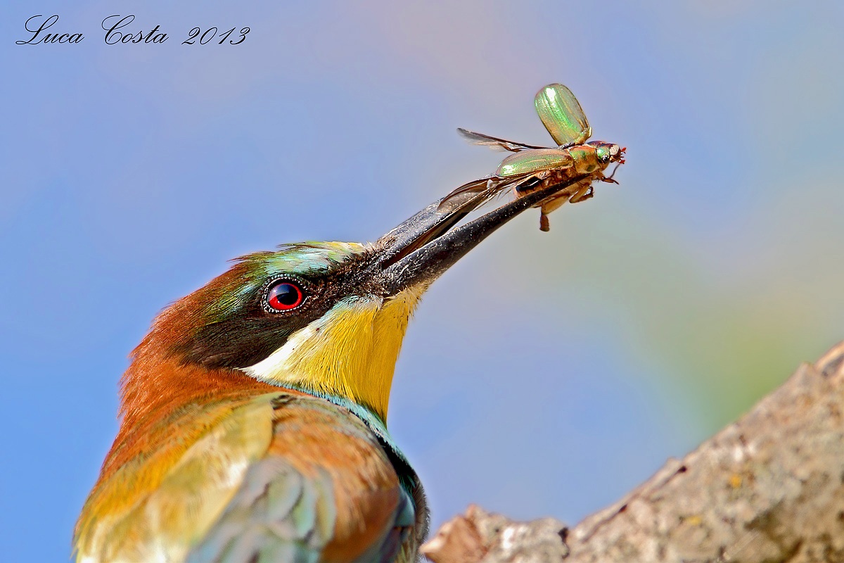 Ti guardo....non mi scappi