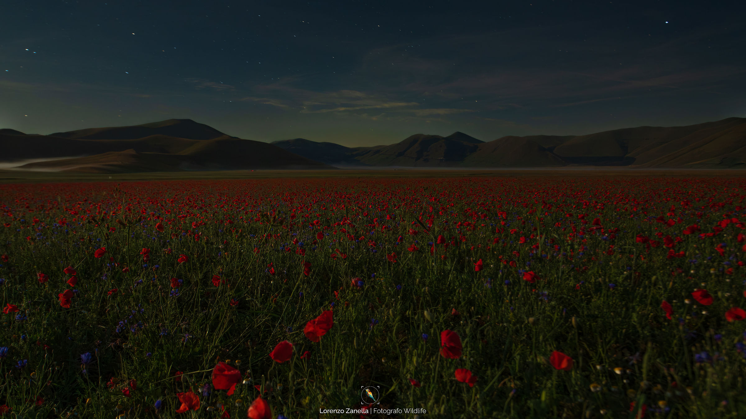 Poppies at Night Castelluccio di Norcia