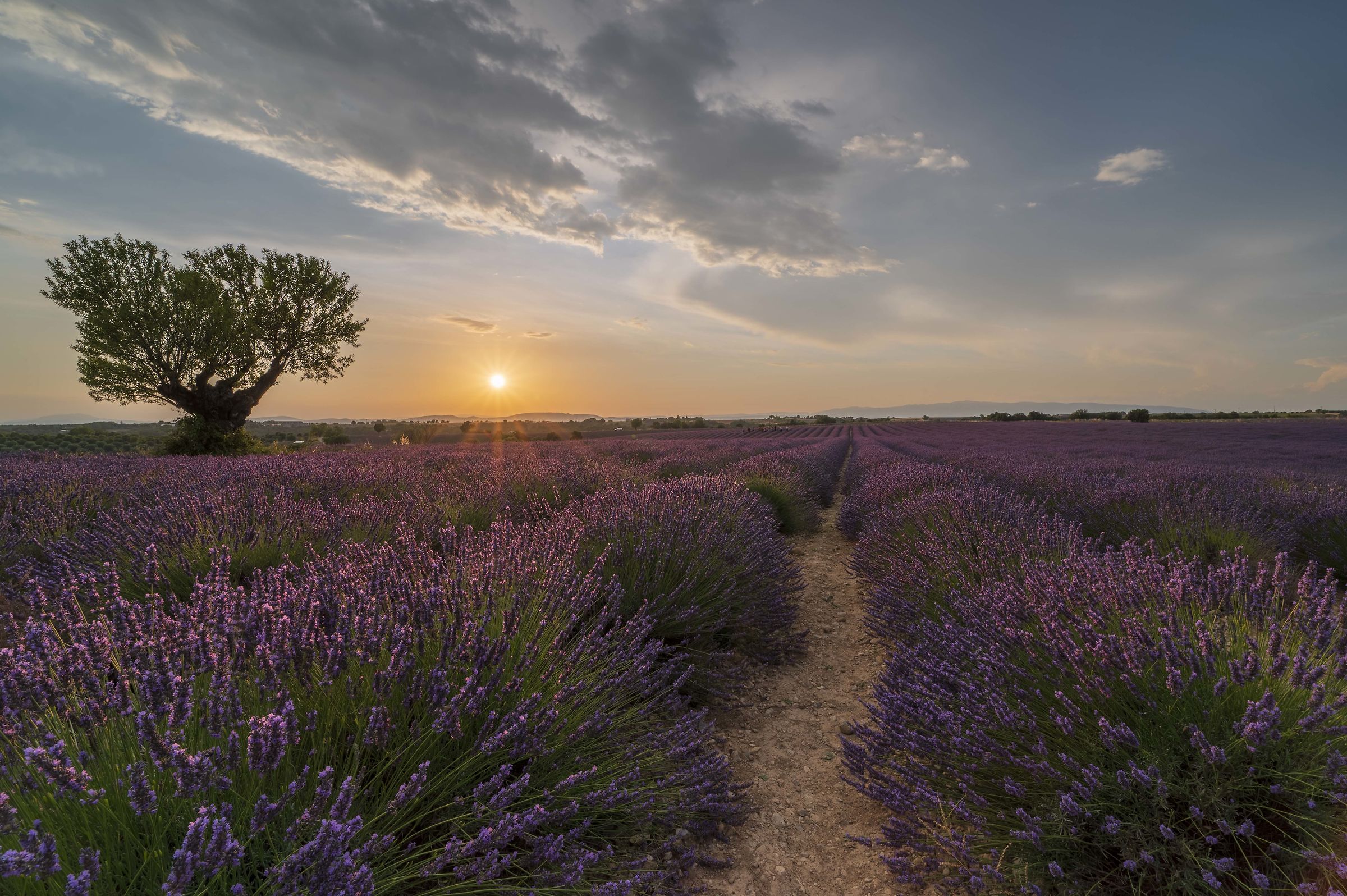 Ultime luci a Valensole