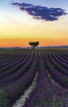 Tramonto