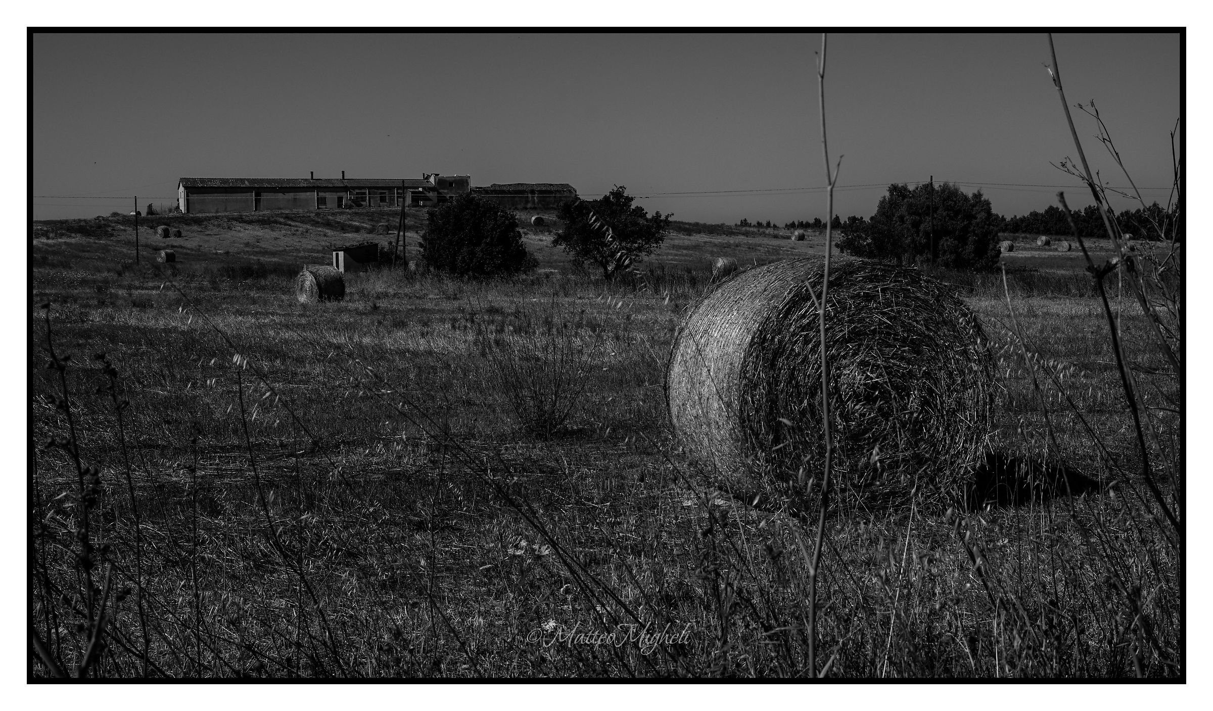 Summer countryside without colors