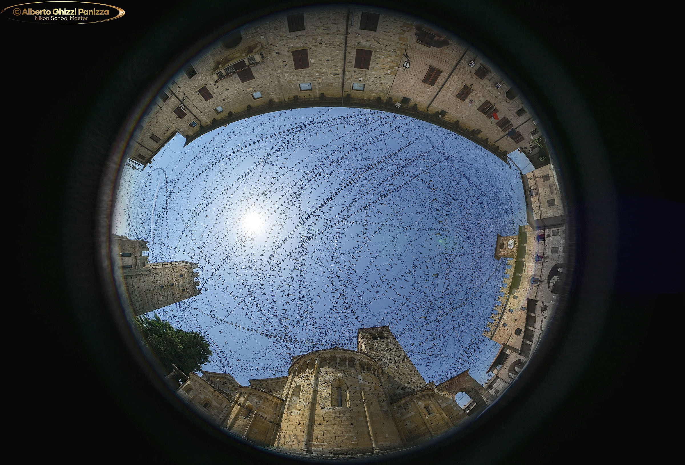 Bird trails in Castel'Arquato