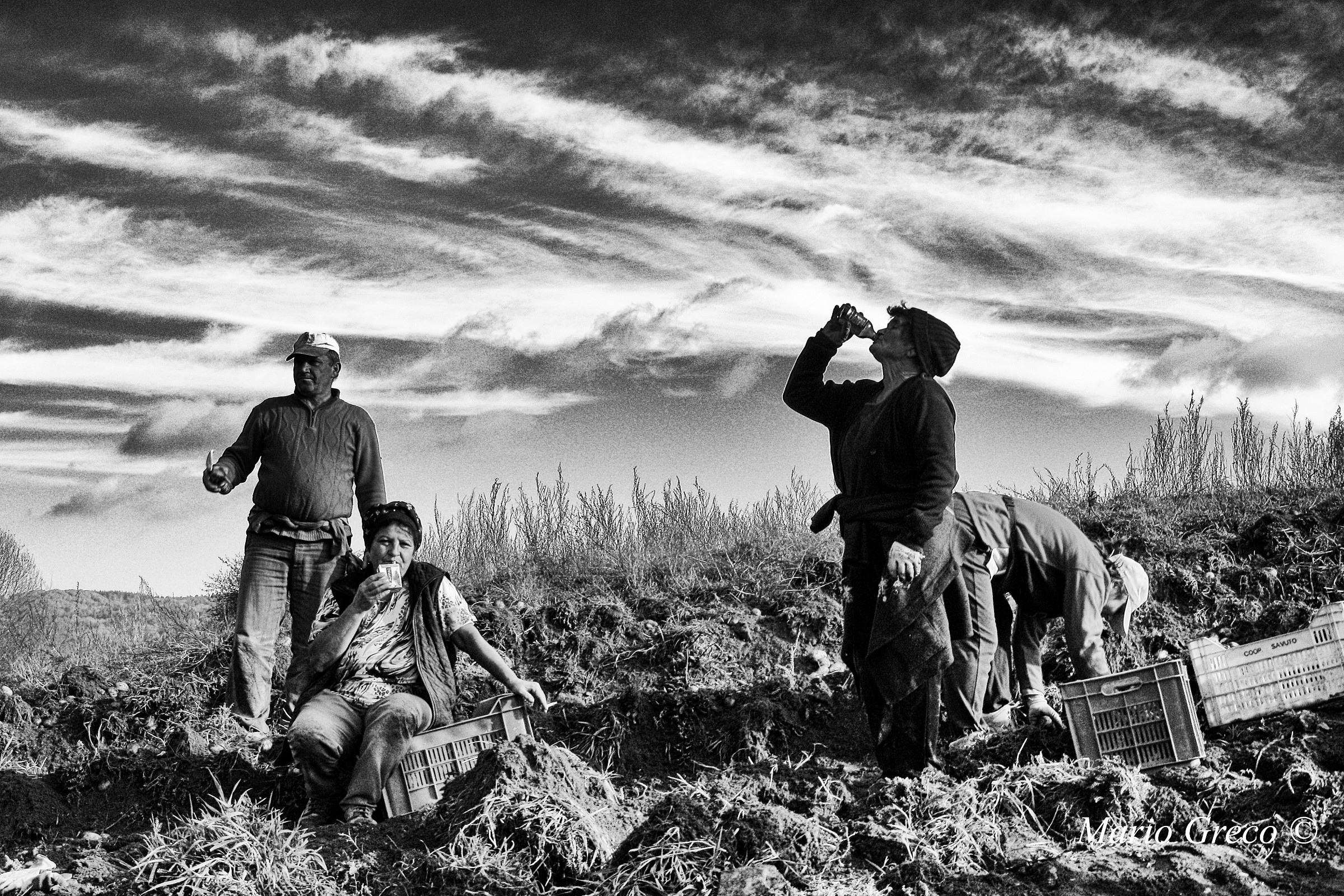 Patatari Silani - Il Ristoro