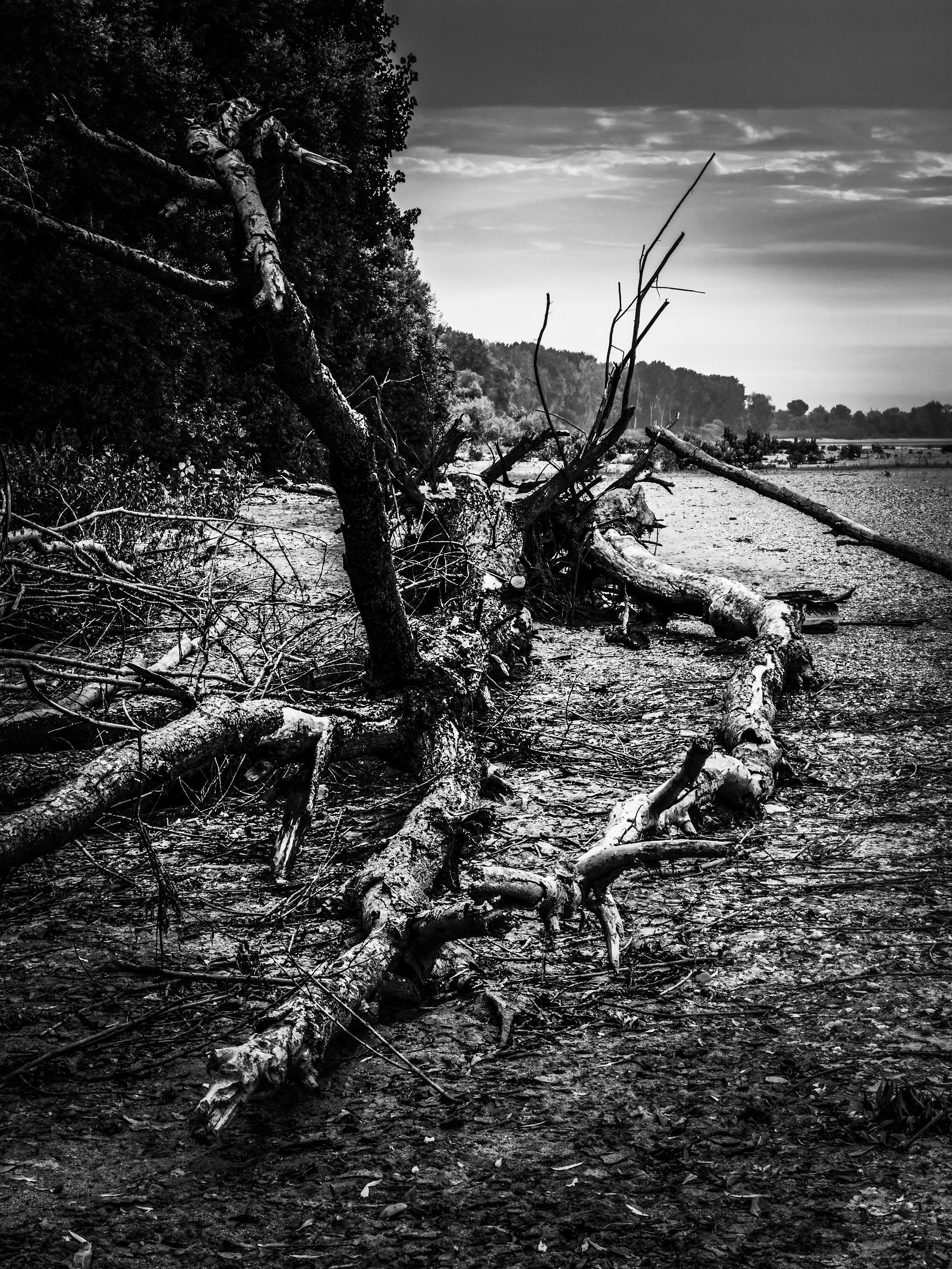 Left by the flood after a long journey