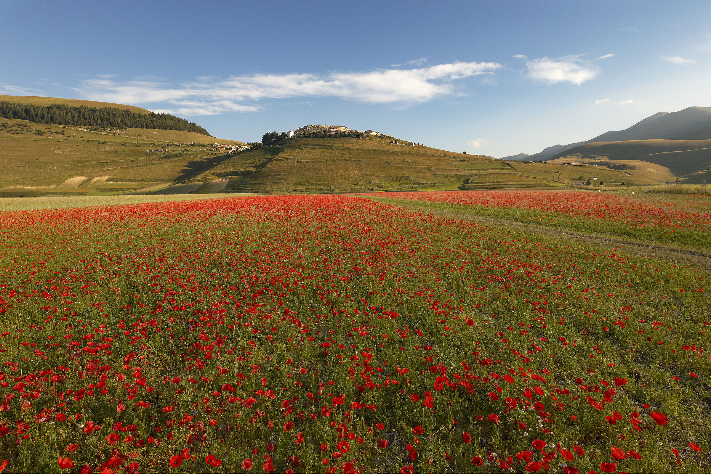 Castelluccio di Norcia