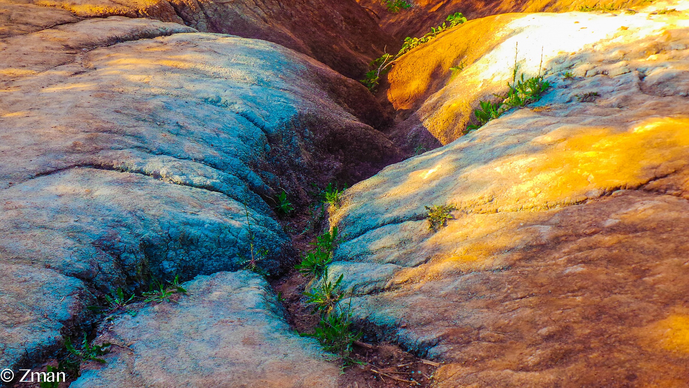 The Bad Land Near Toronto