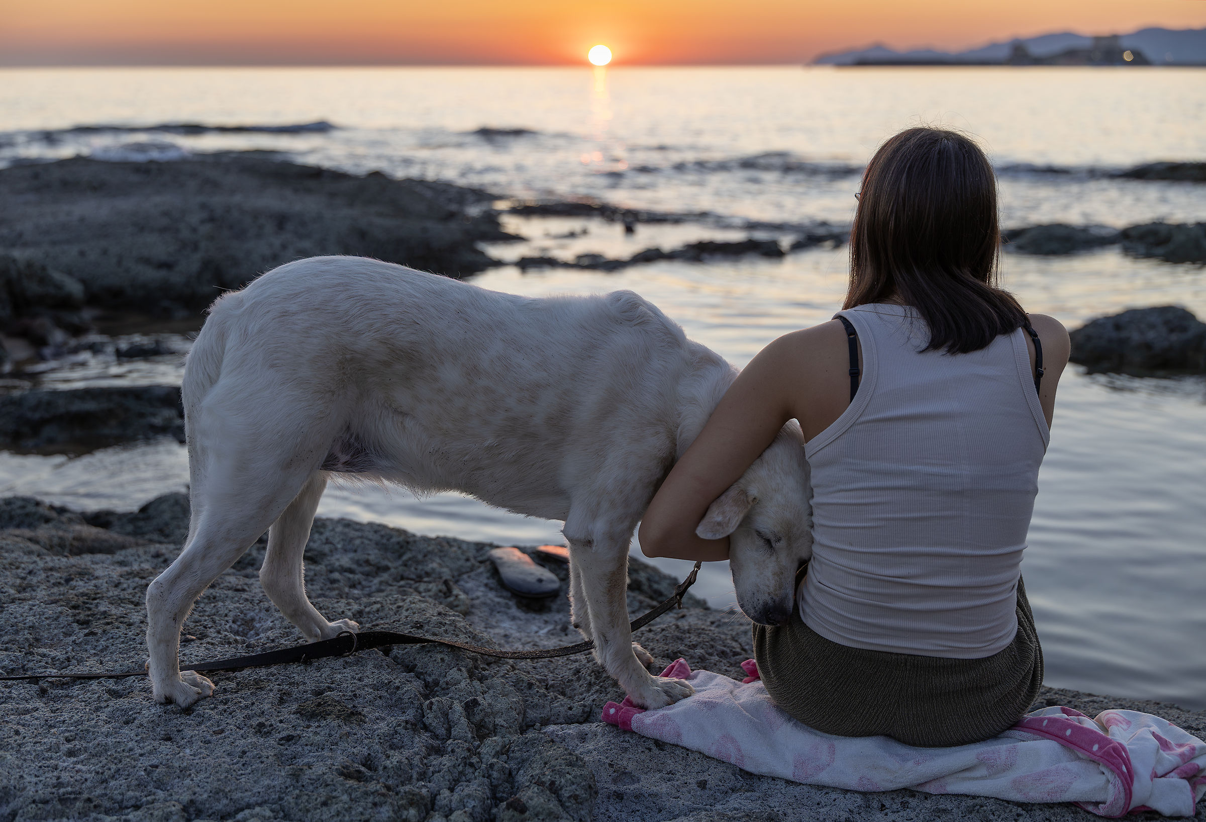 il tramonto con Bella