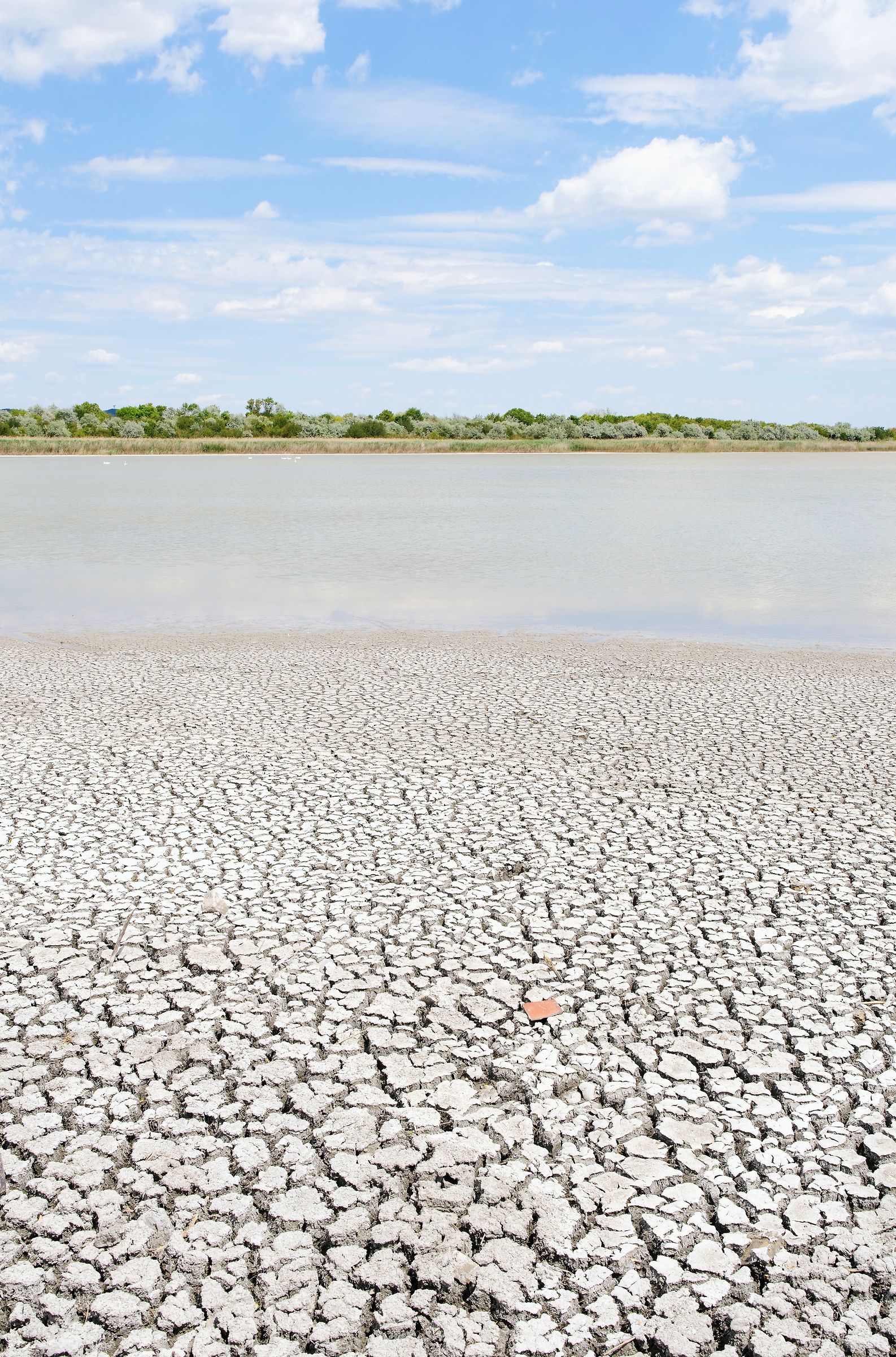 climate crisis