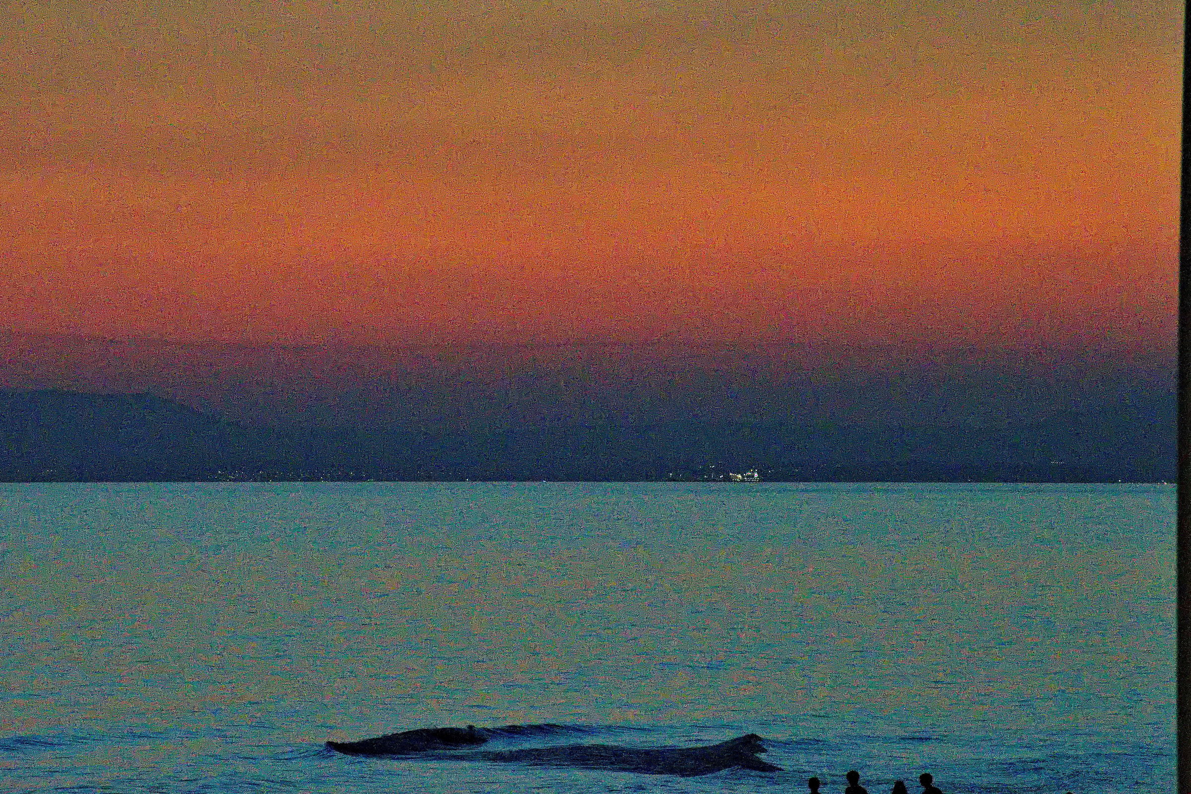 Dipinto