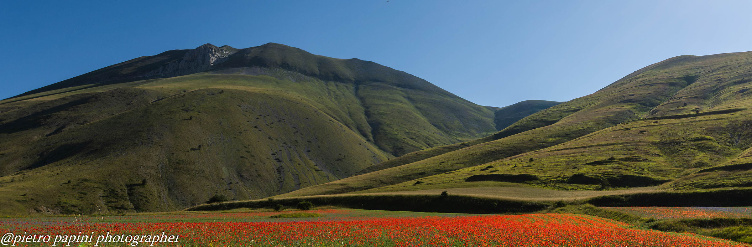 The Castelluccio di Norcia 2026