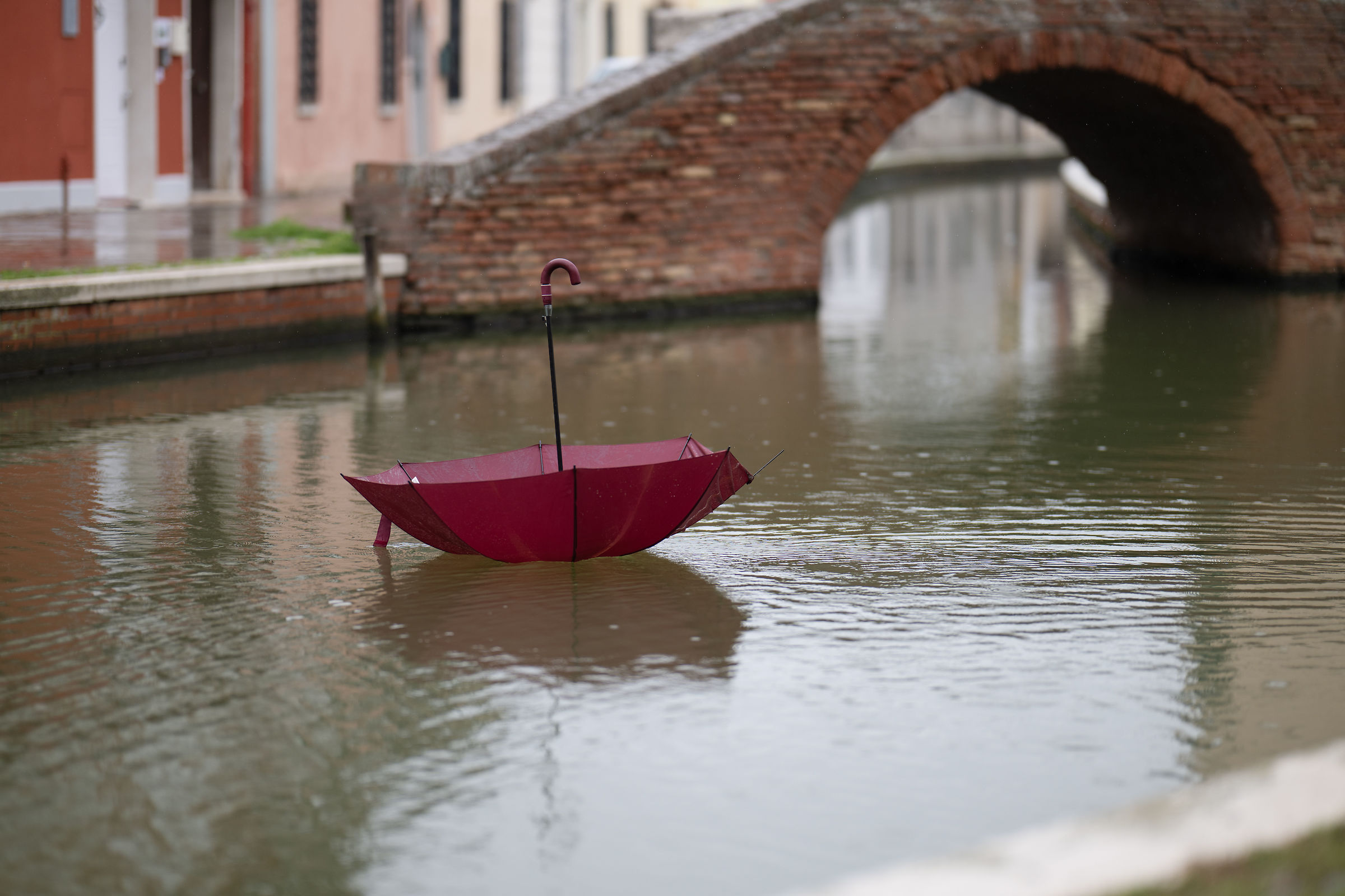 lost in Comacchio