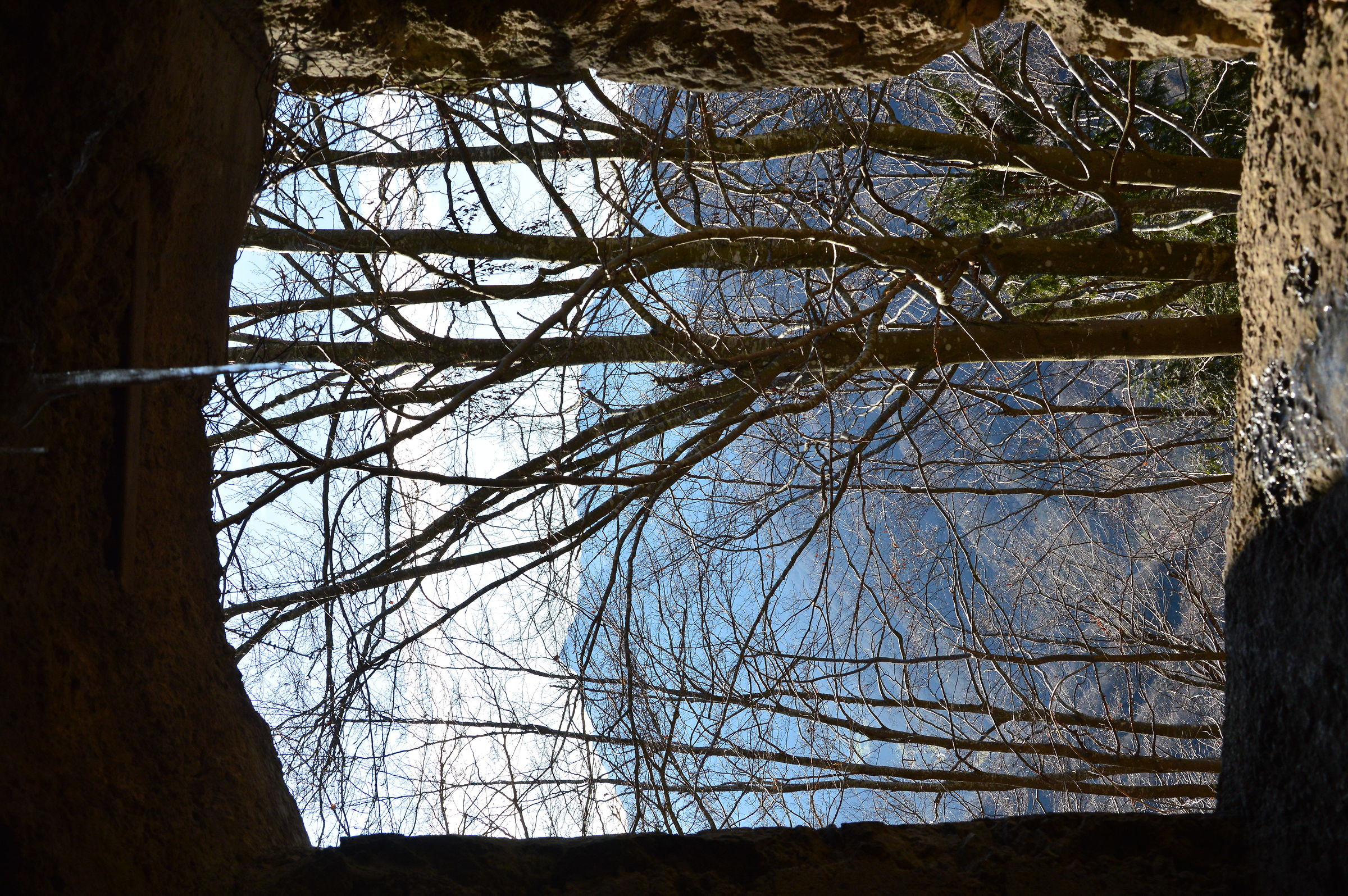la finestra sul cortile