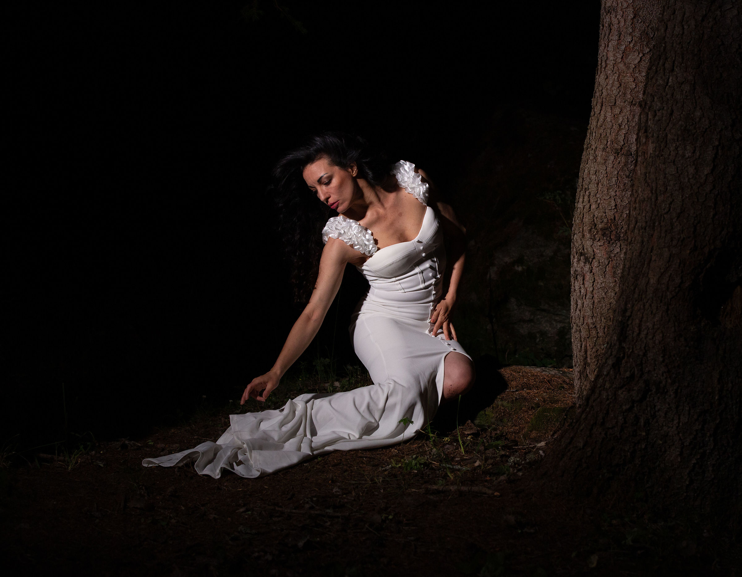 lost in the enchanted forest