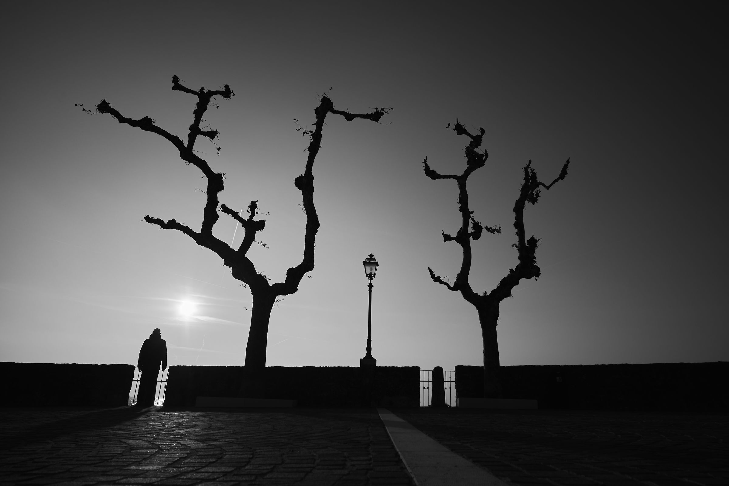 I nostri scheletri