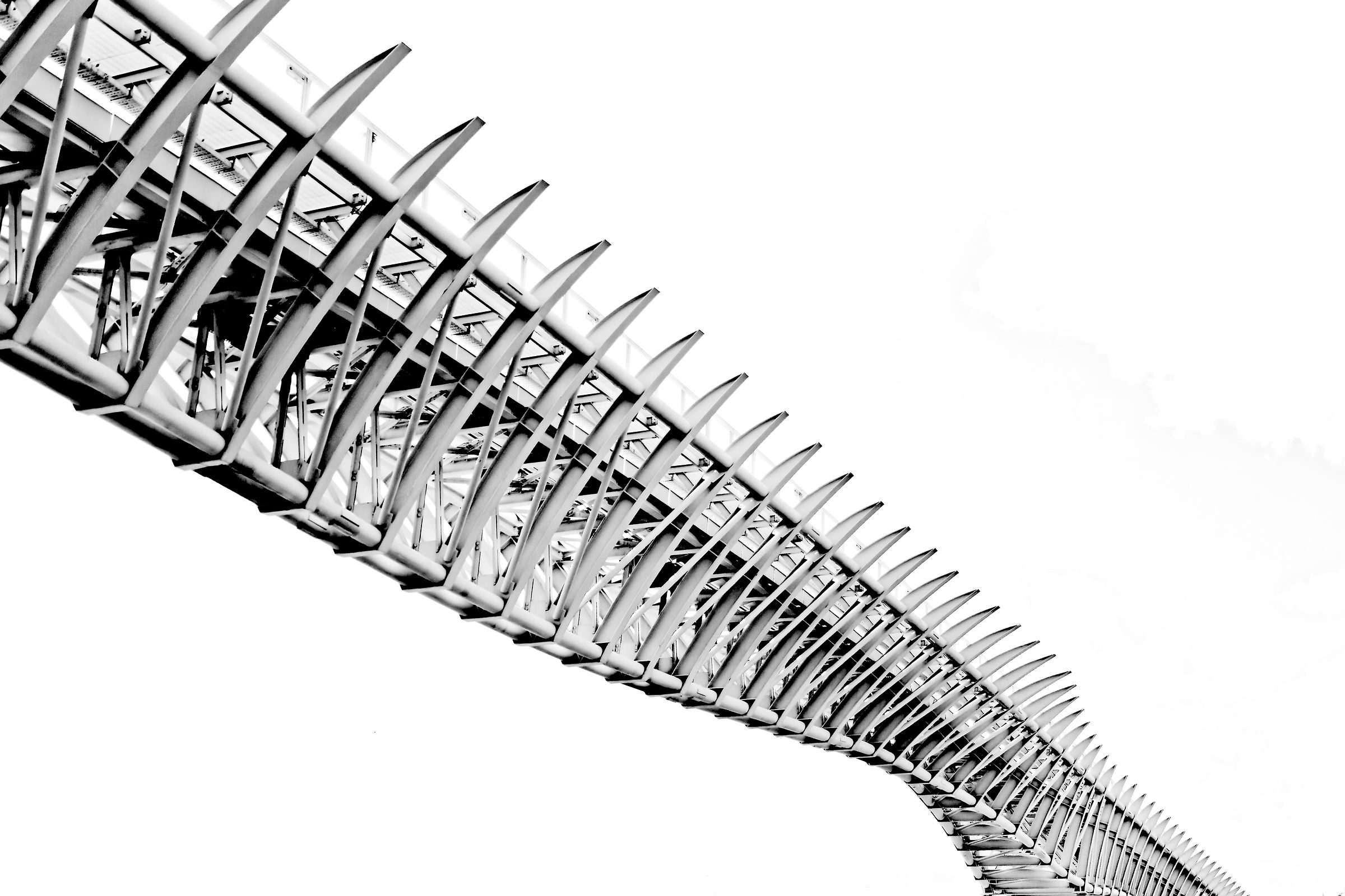 Vertebre Veneziane di mobilita'