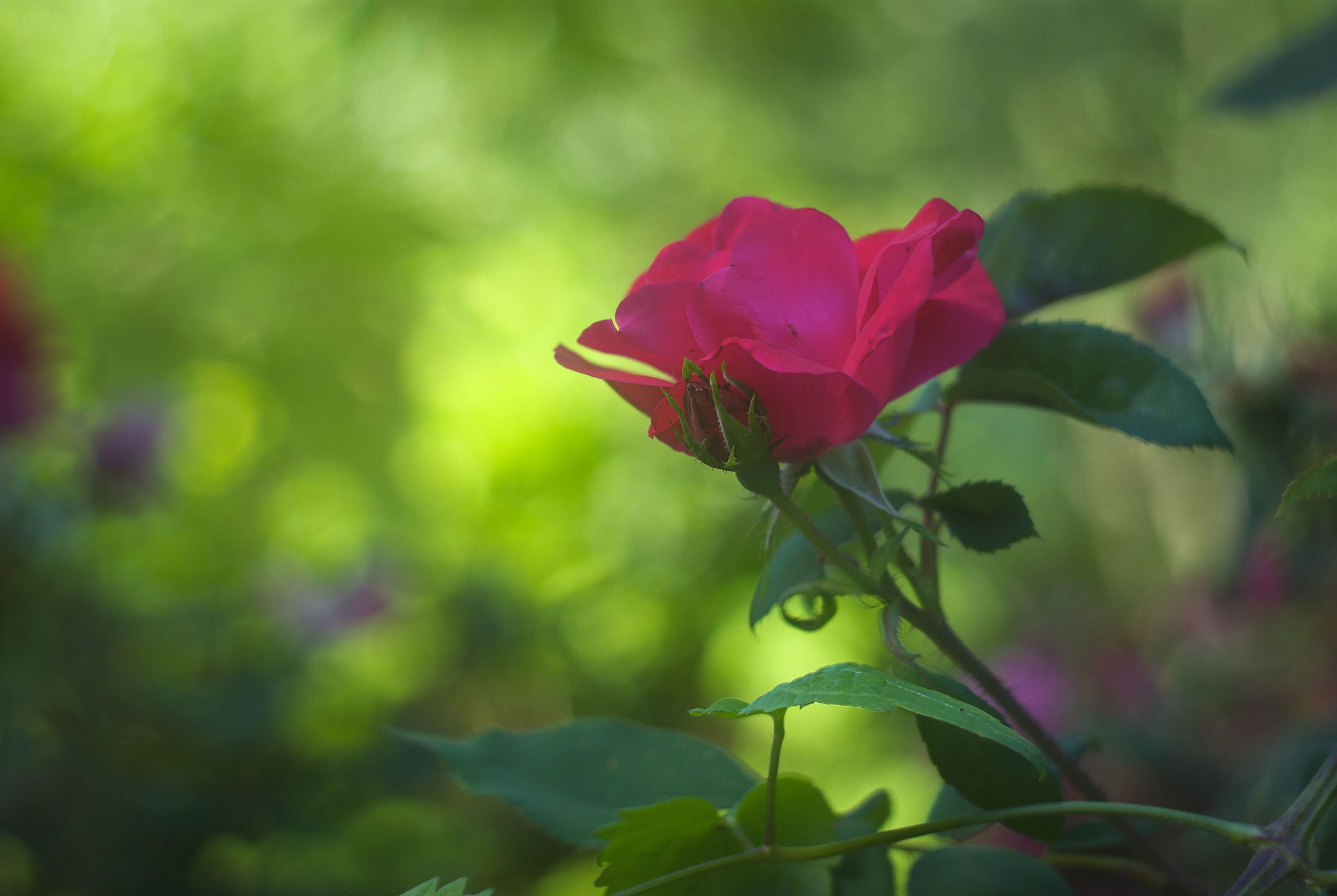 Untitled Photo