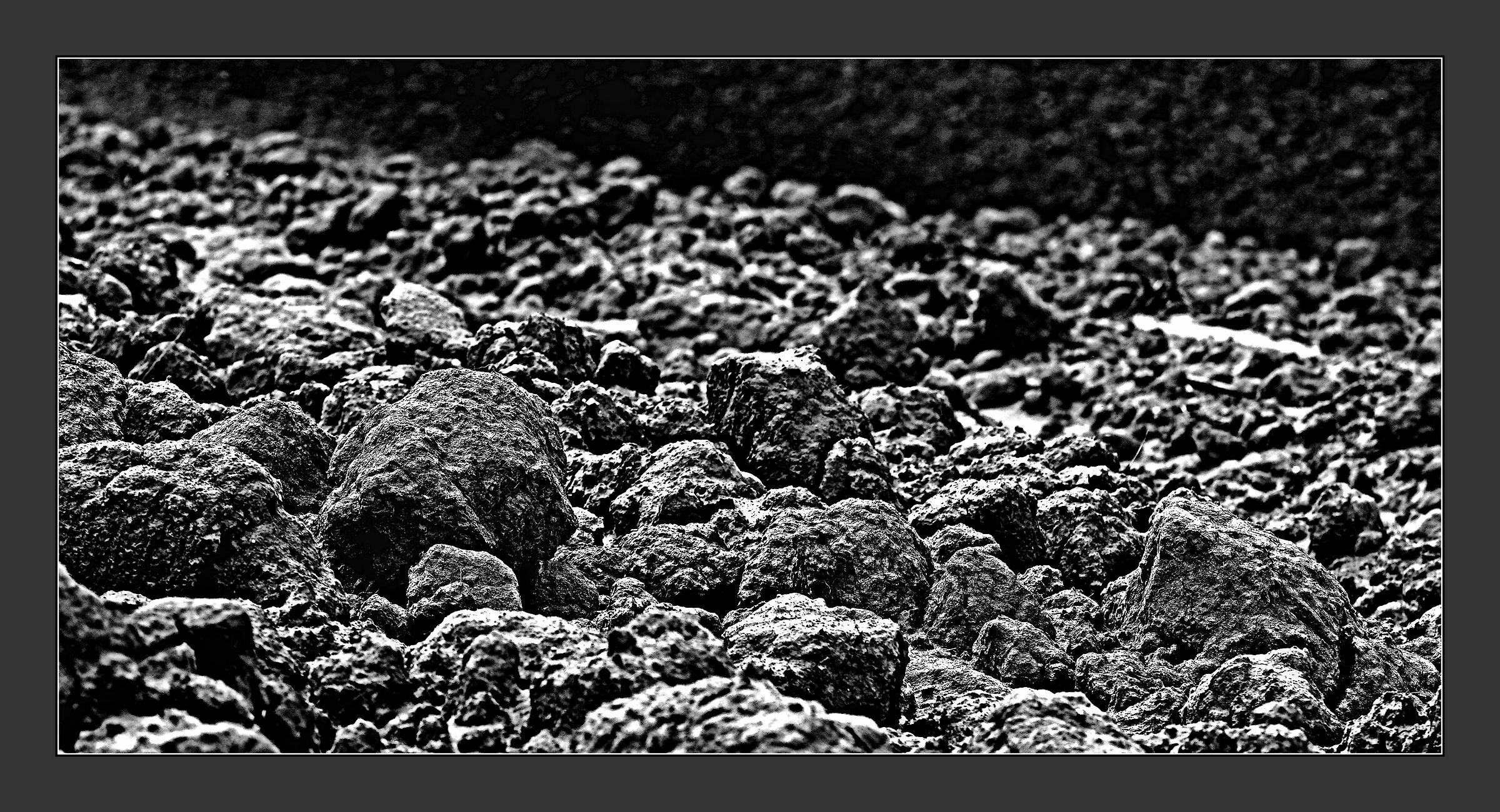 Seminare non è difficile come raccogliere. J. W. Goethe