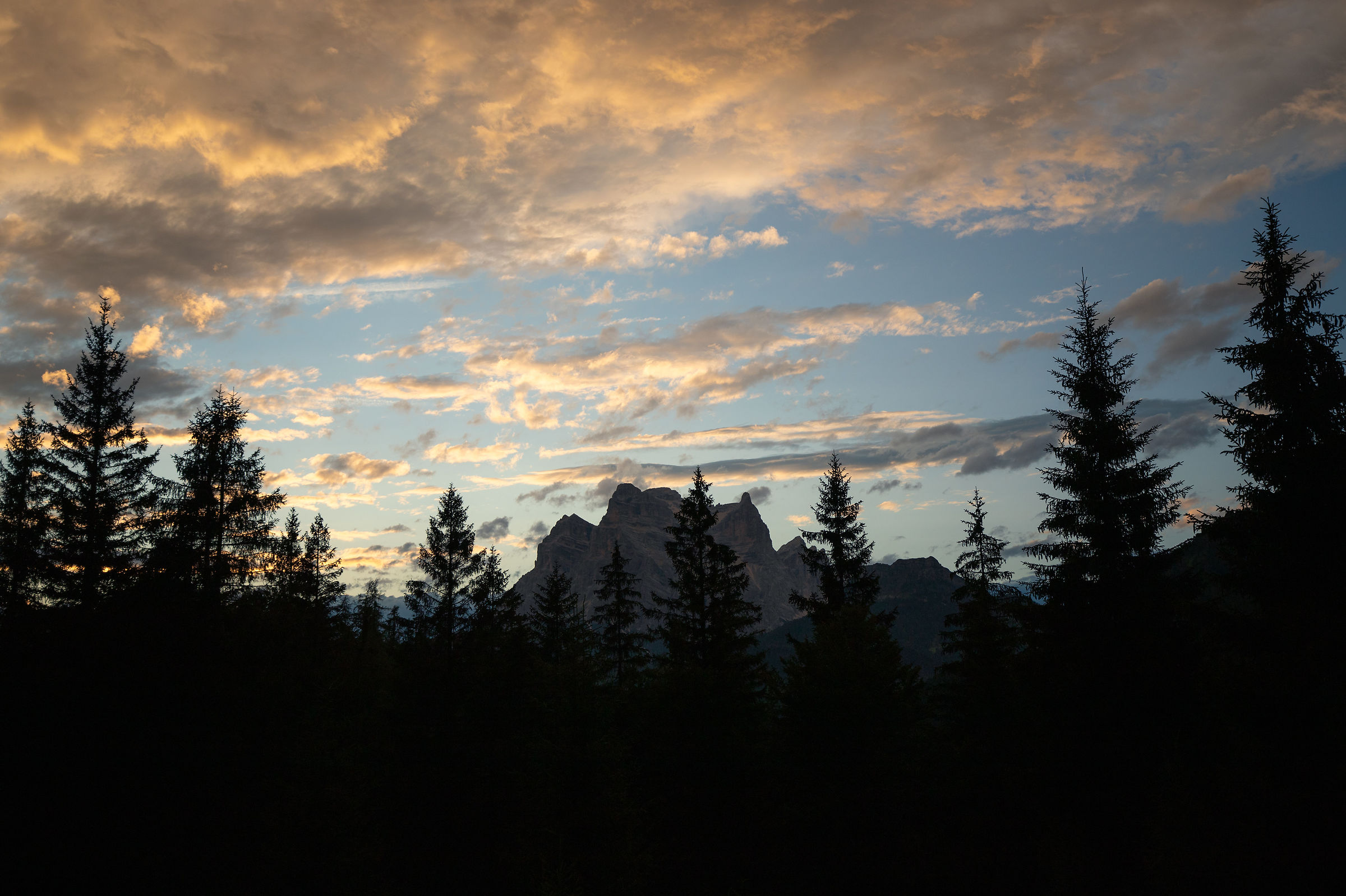 Untitled Photo