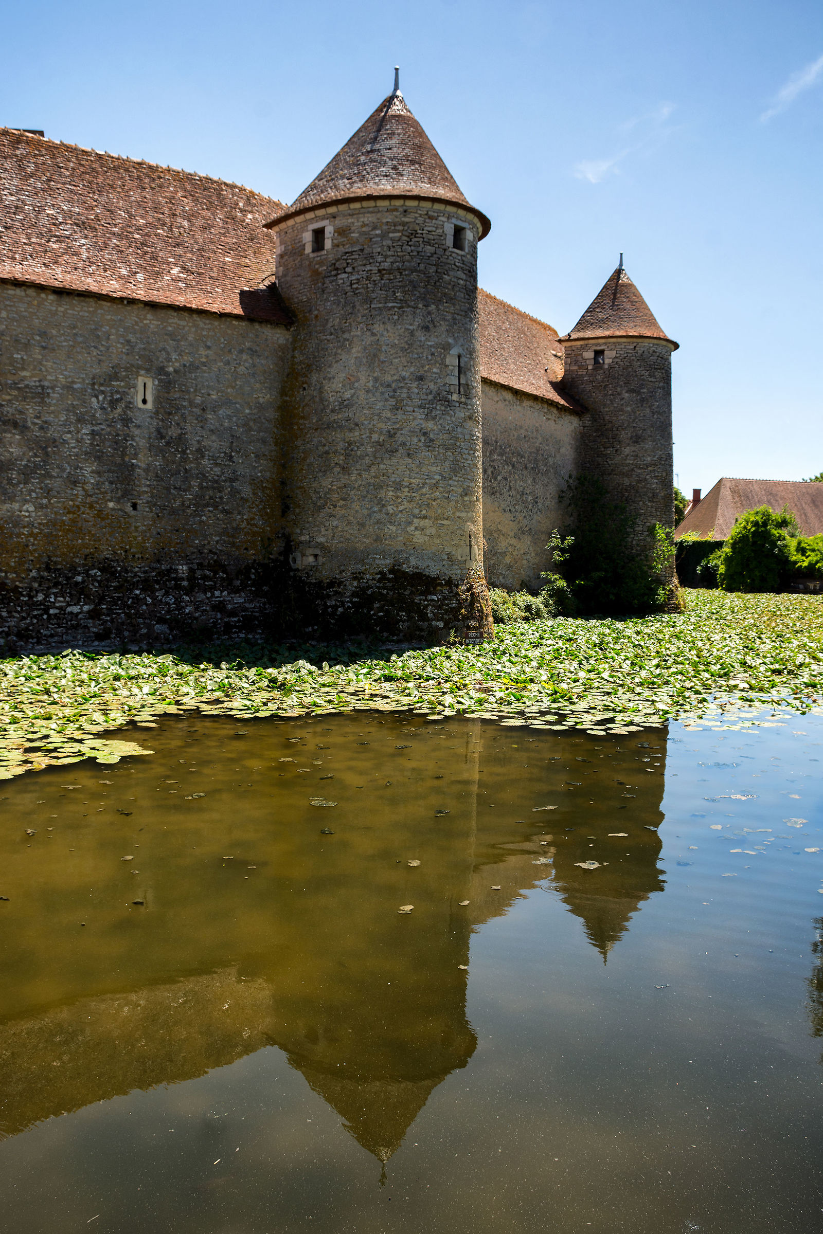 Castle of Sagonne