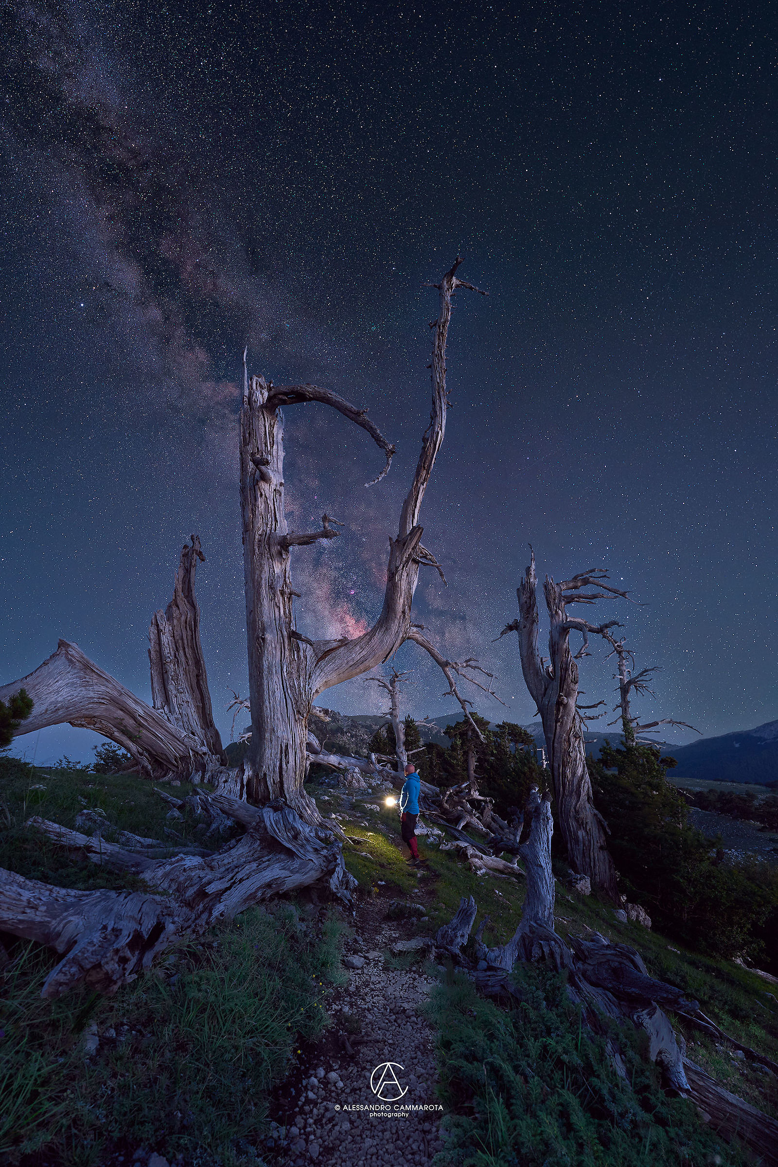 Milky Way