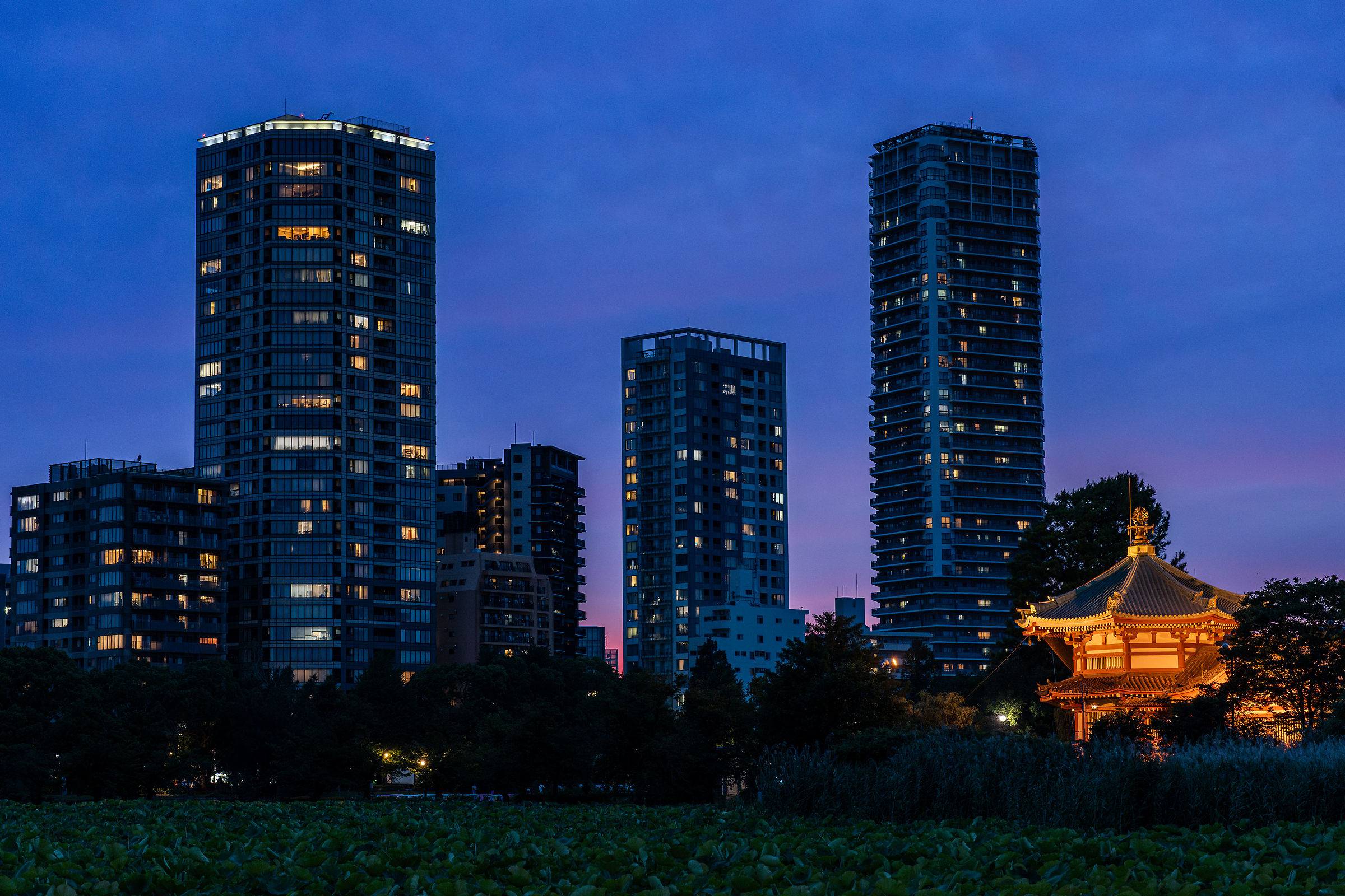 Sunset over Lake Ueno