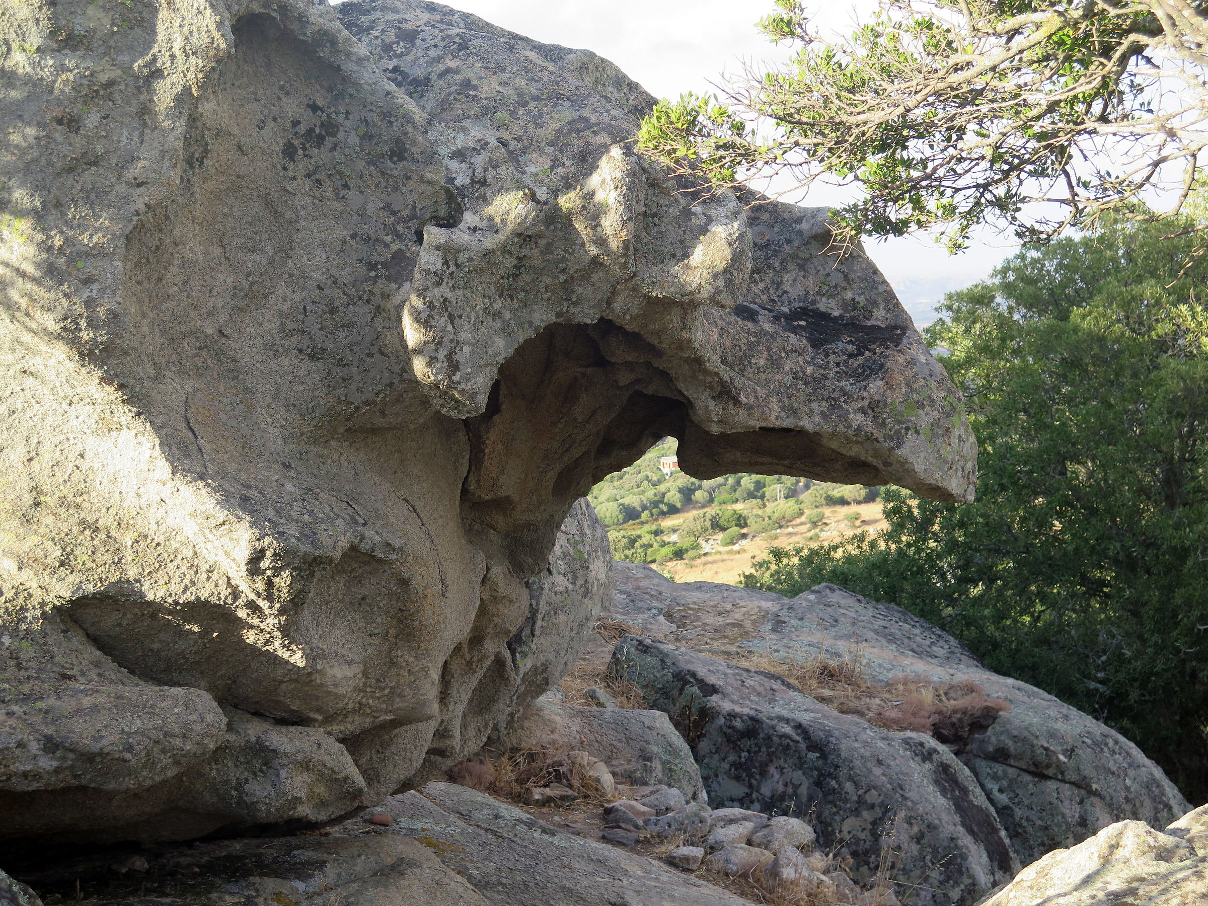 Sardegna-Creature di pietra...(5 foto)