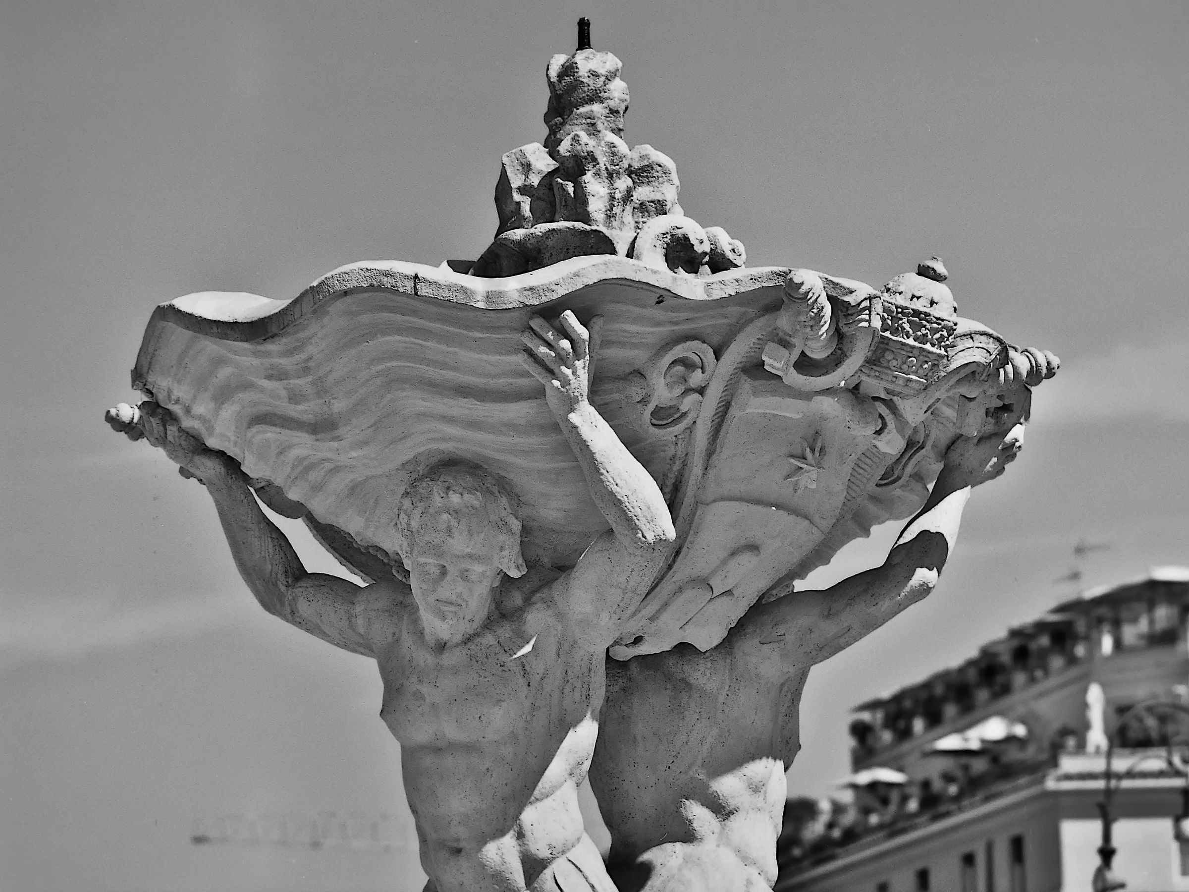 Untitled Photo