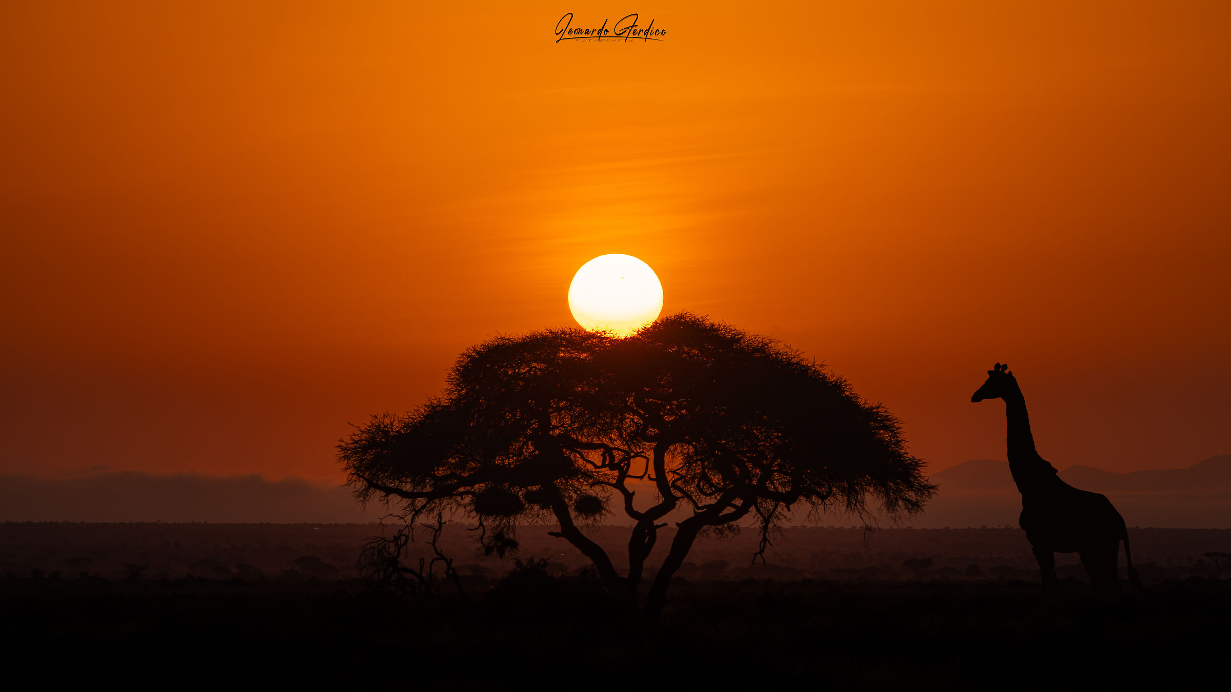 The colors of Africa