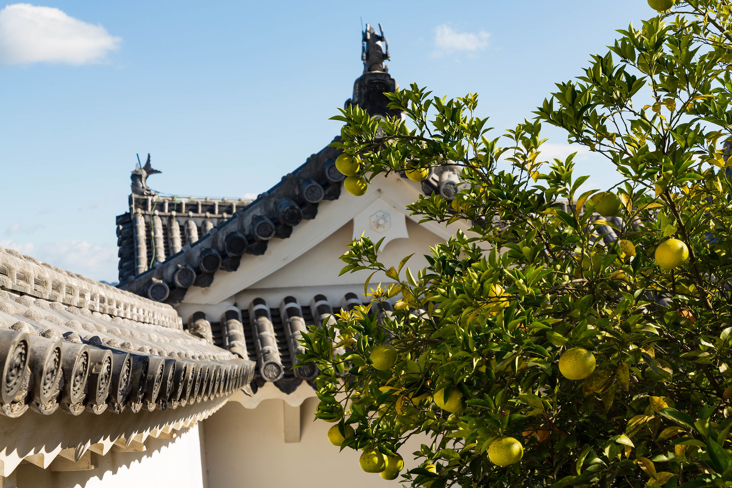 Cedros' inside Himeji's Castle