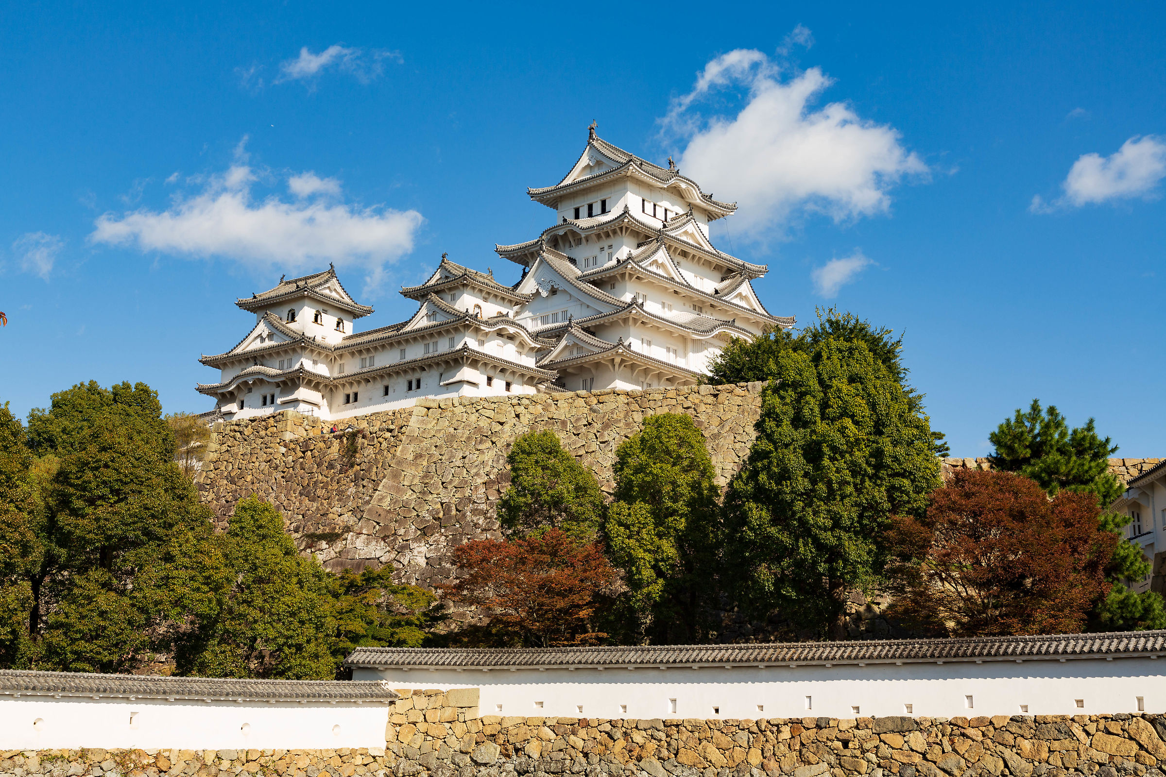 White Heron (Himeji's Castle)
