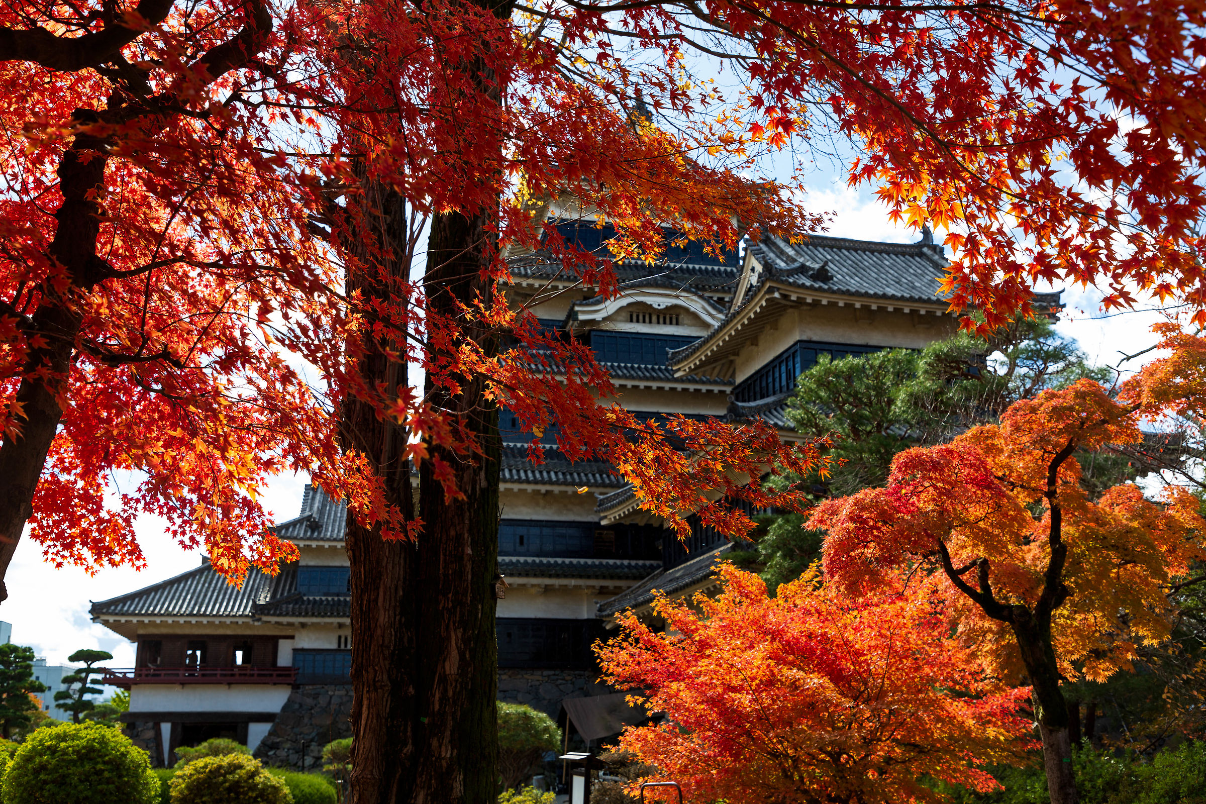 Matsumoto Castle & "Foliage"