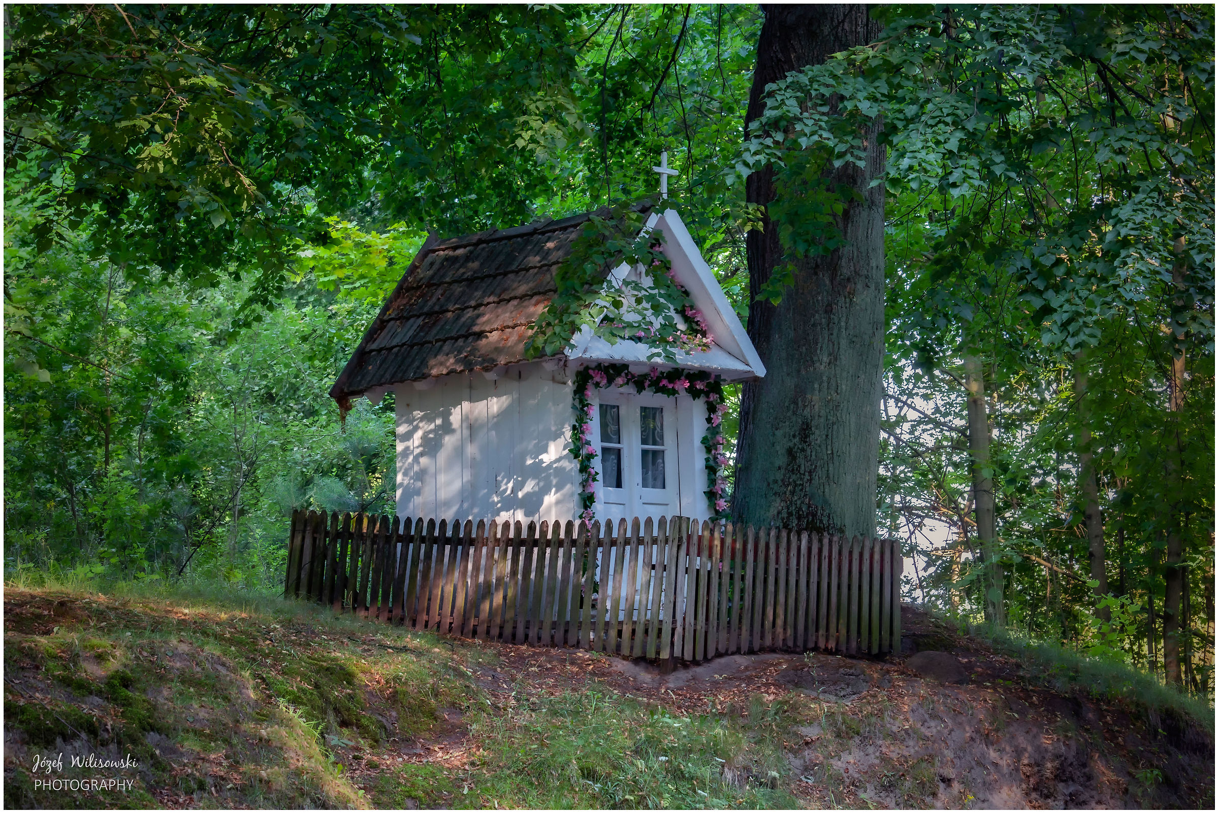 Untitled Photo