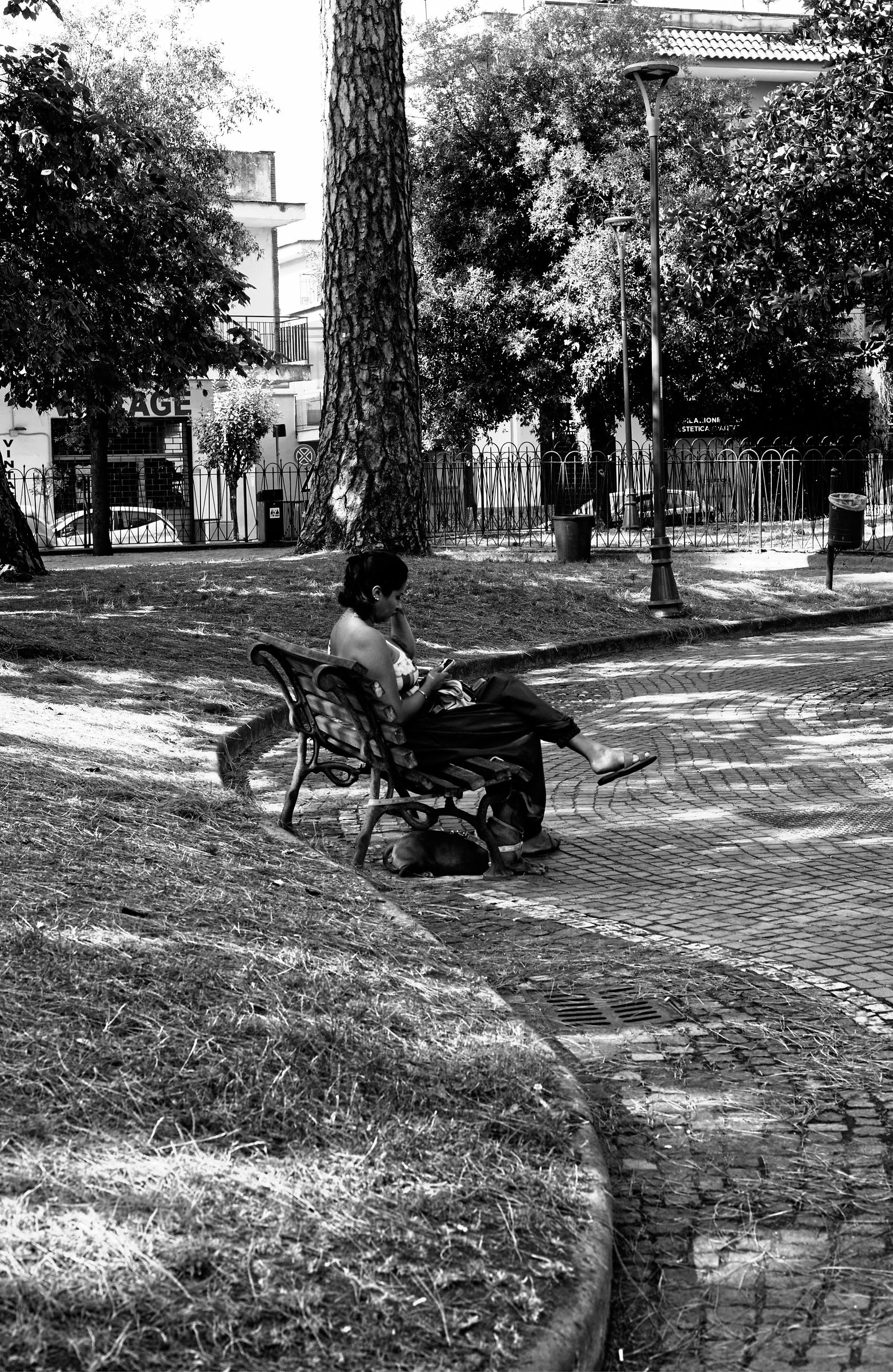 Alla ricerca di fresco con l’amico  a 4 zampe