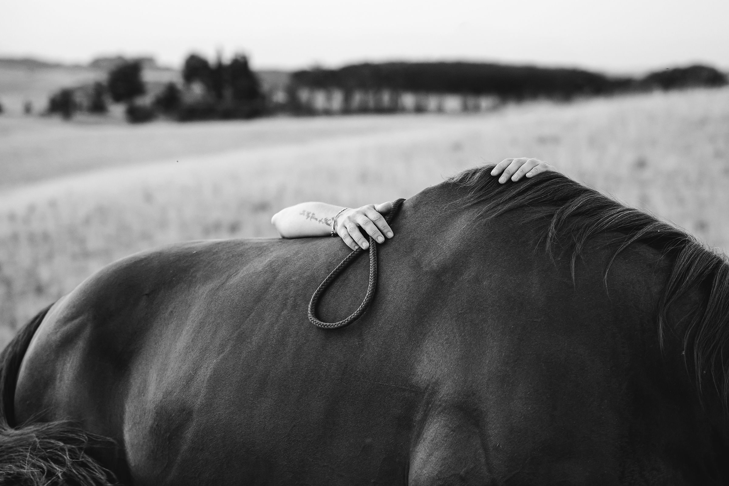 Untitled Photo